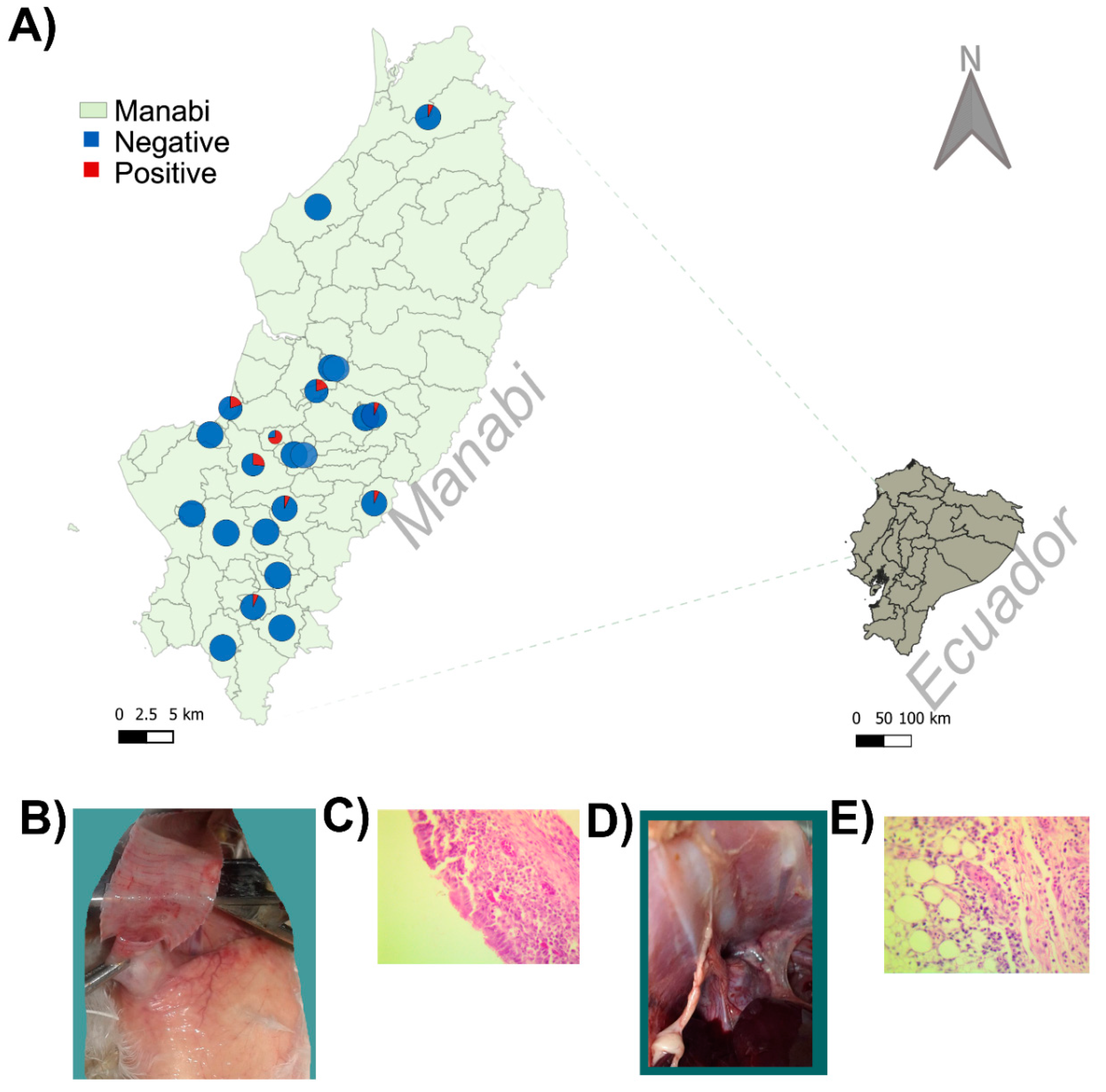 Pathogens 09 00674 g003 Pathogens 09 00674 g003