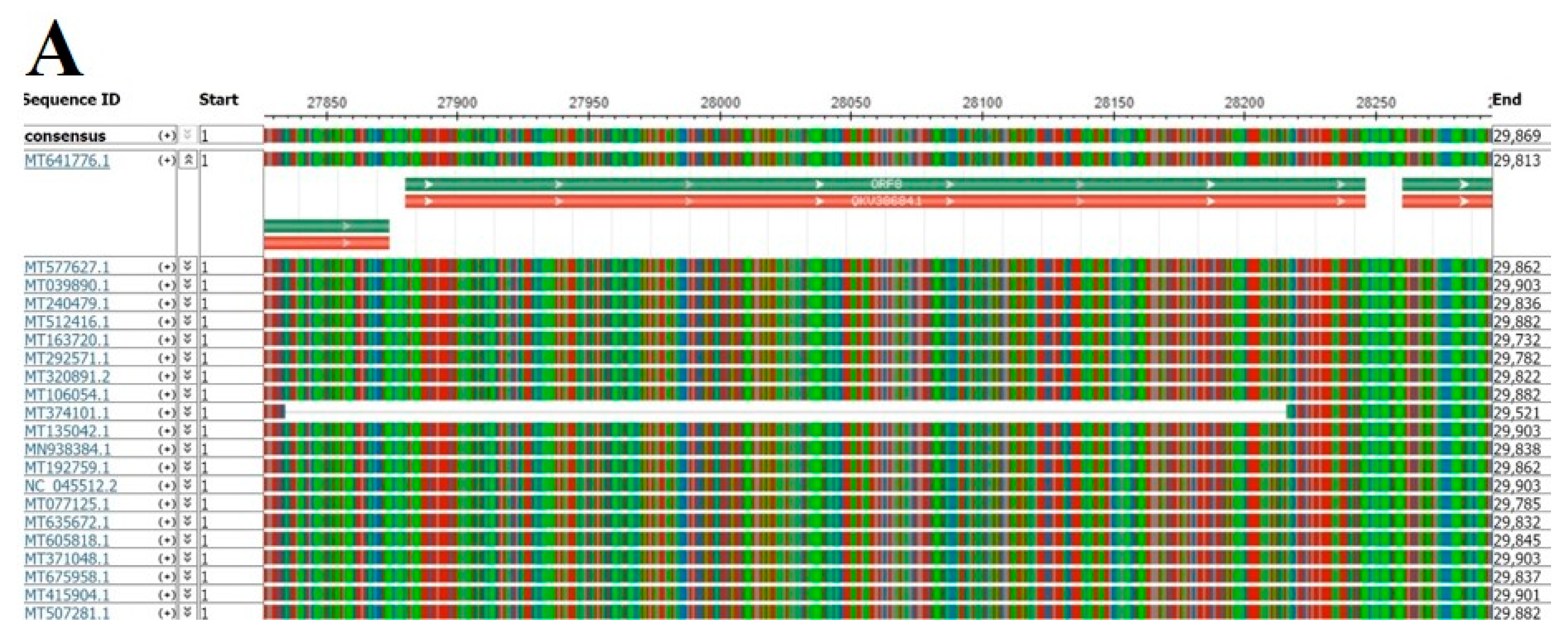 Pathogens 09 00677 g002a Pathogens 09 00677 g002a
