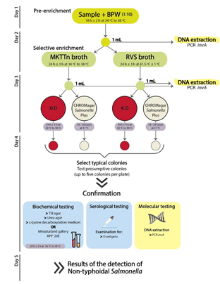 Pathogens 09 00701 g001 Pathogens 09 00701 g001