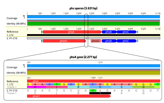 Pathogens 09 00701 g002 Pathogens 09 00701 g002