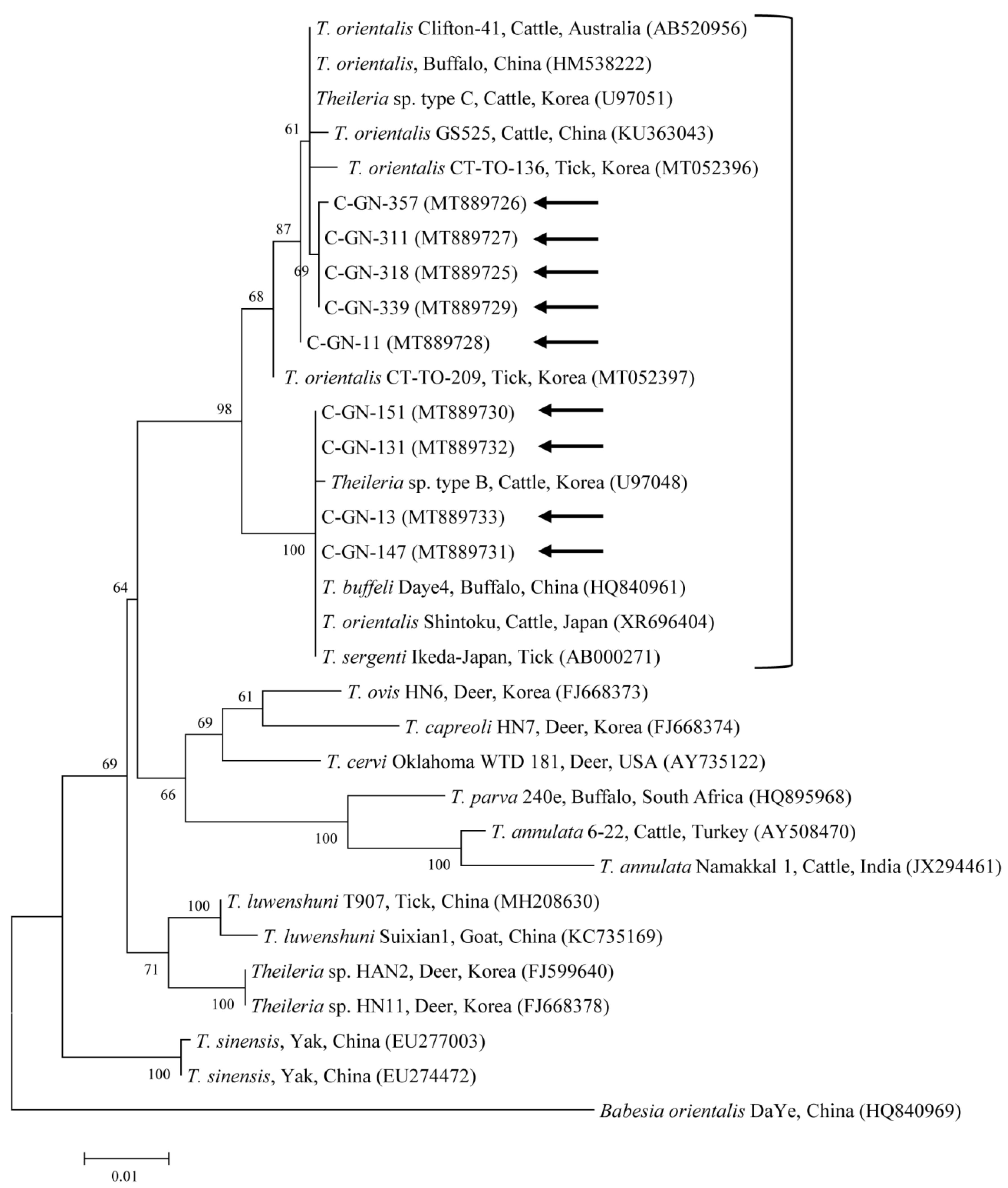 Pathogens 09 00768 g001