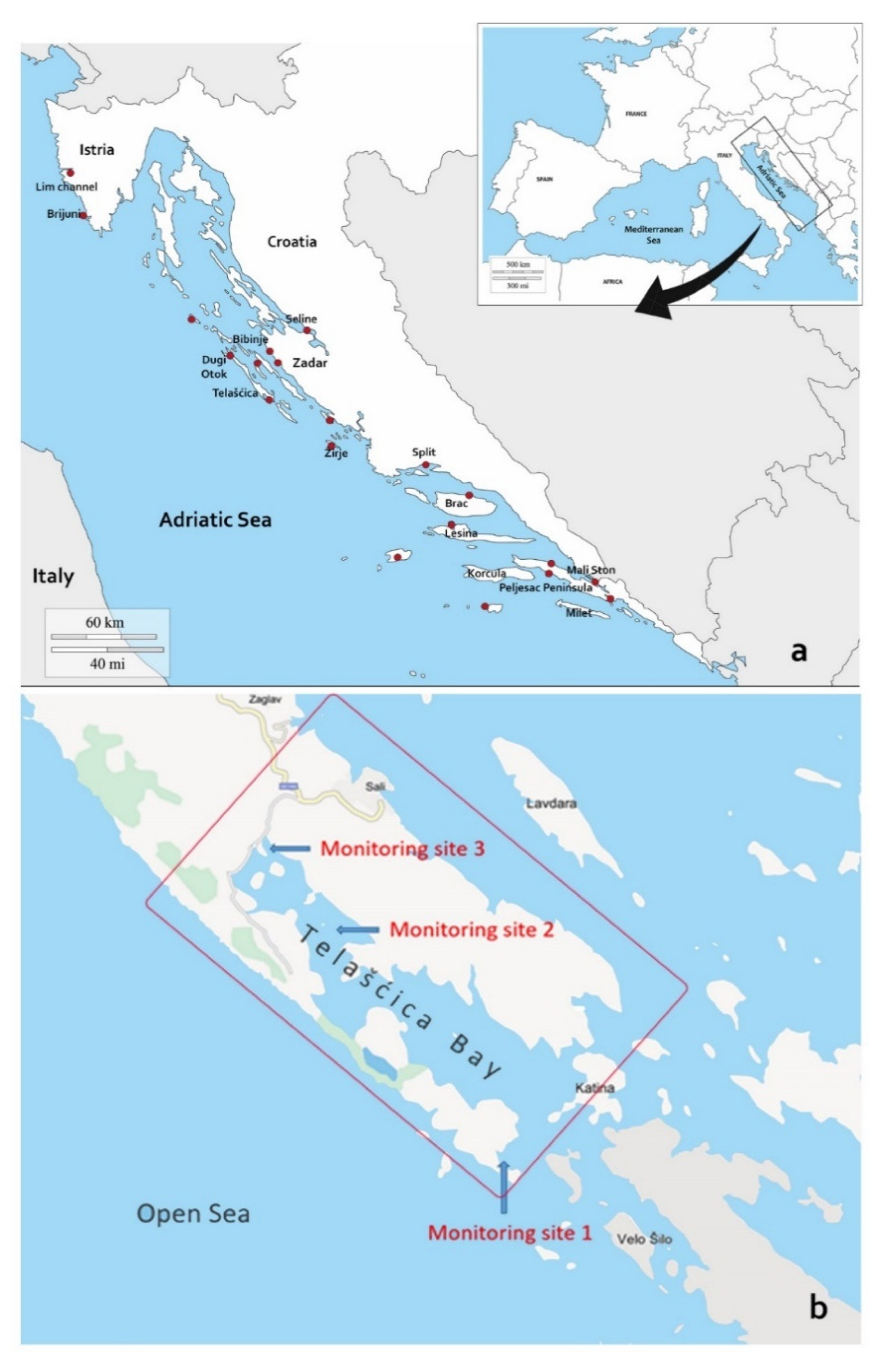 Pathogens 09 00776 g001 Pathogens 09 00776 g001