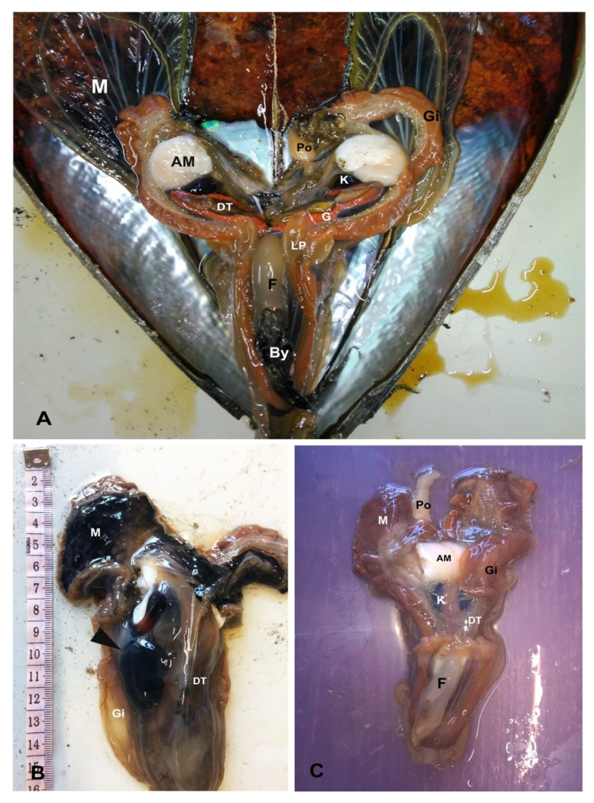 Pathogens 09 00776 g003 Pathogens 09 00776 g003