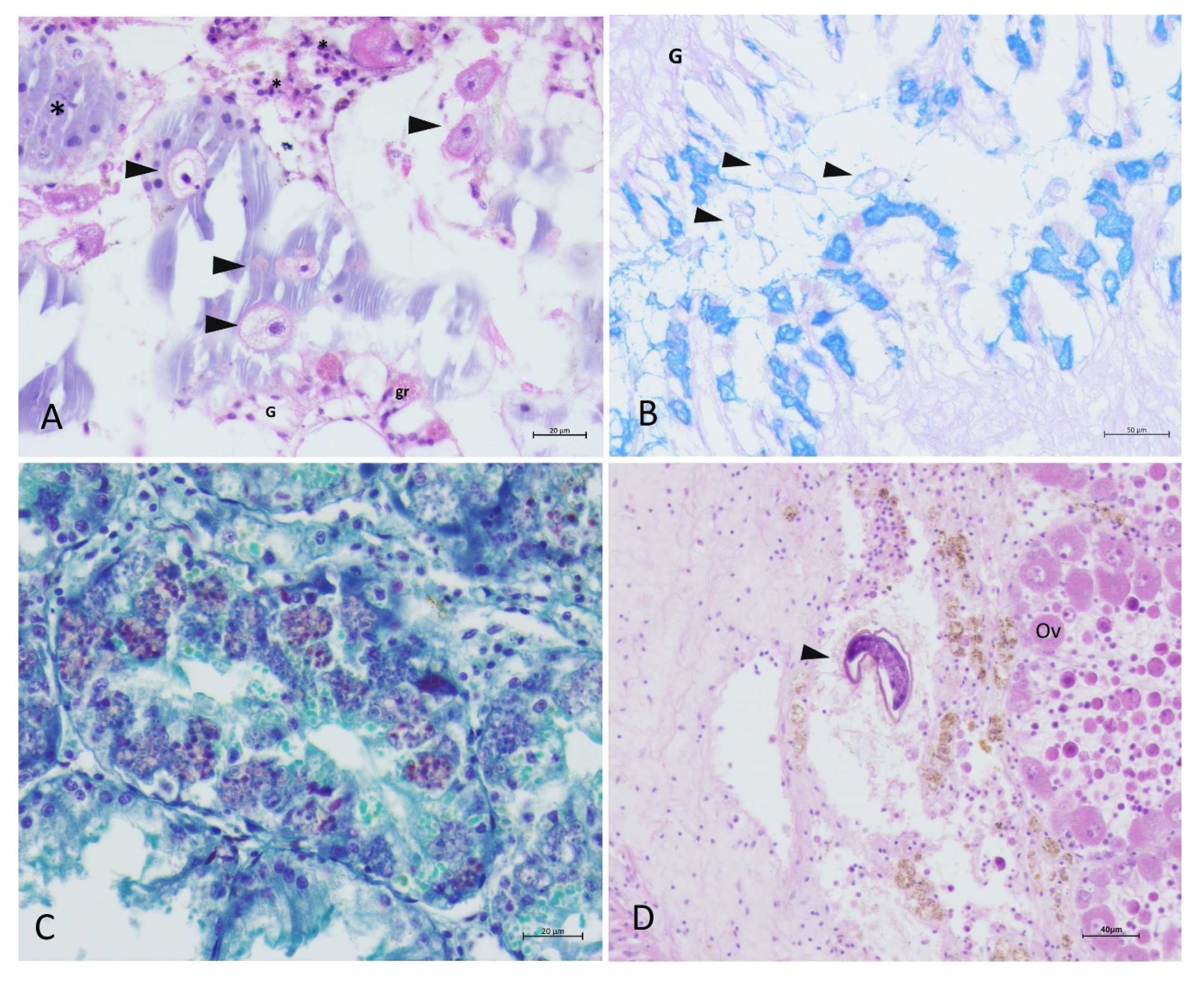 Pathogens 09 00776 g006 Pathogens 09 00776 g006