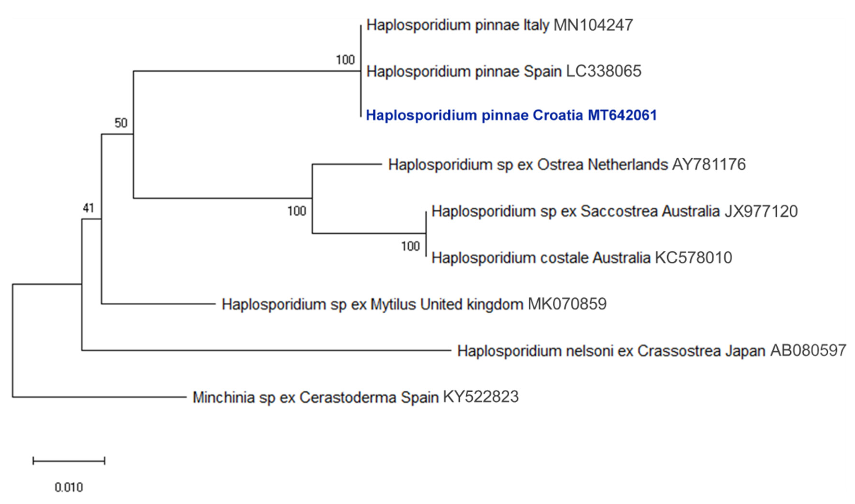 Pathogens 09 00776 g007 Pathogens 09 00776 g007