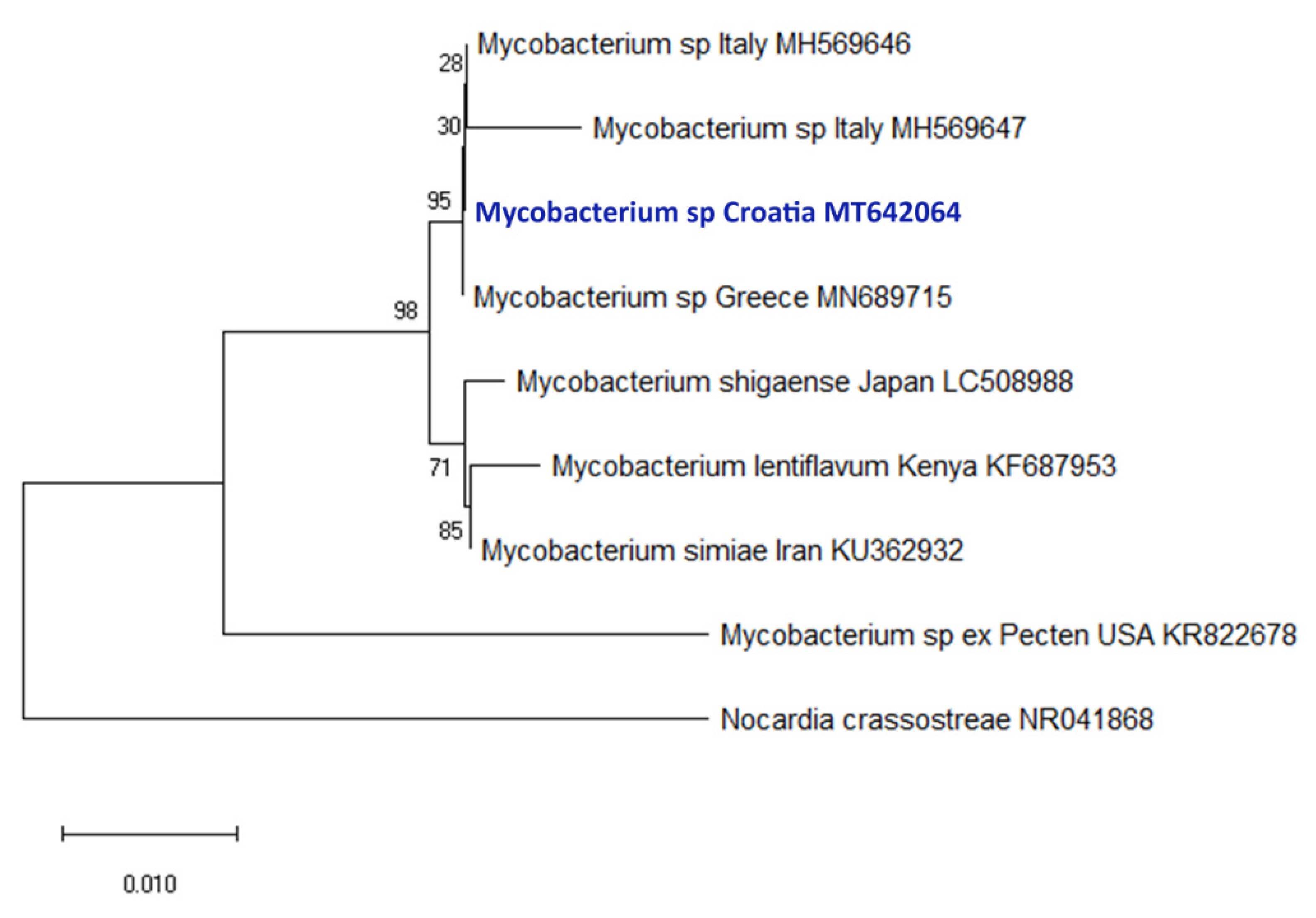 Pathogens 09 00776 g008 Pathogens 09 00776 g008