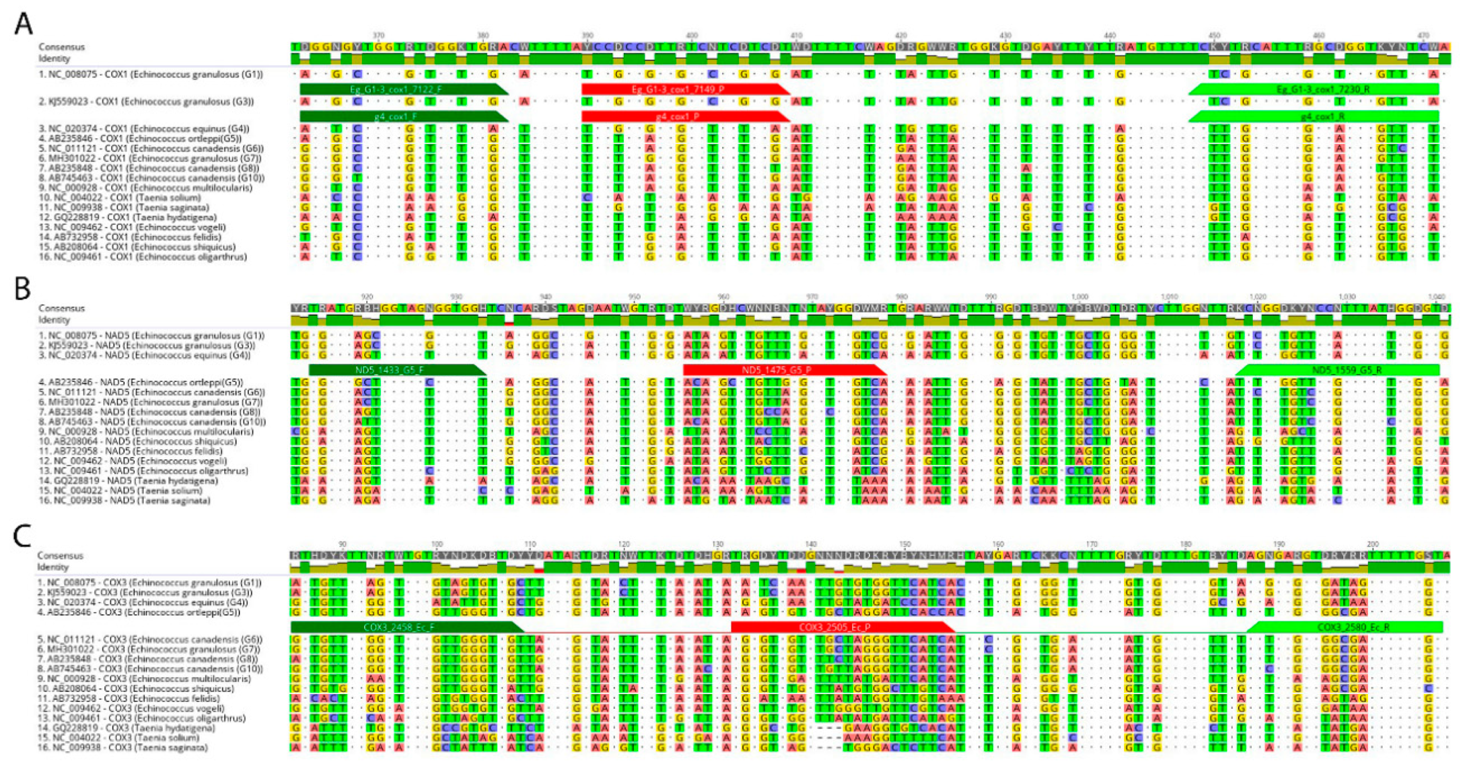 Pathogens 09 00791 g001