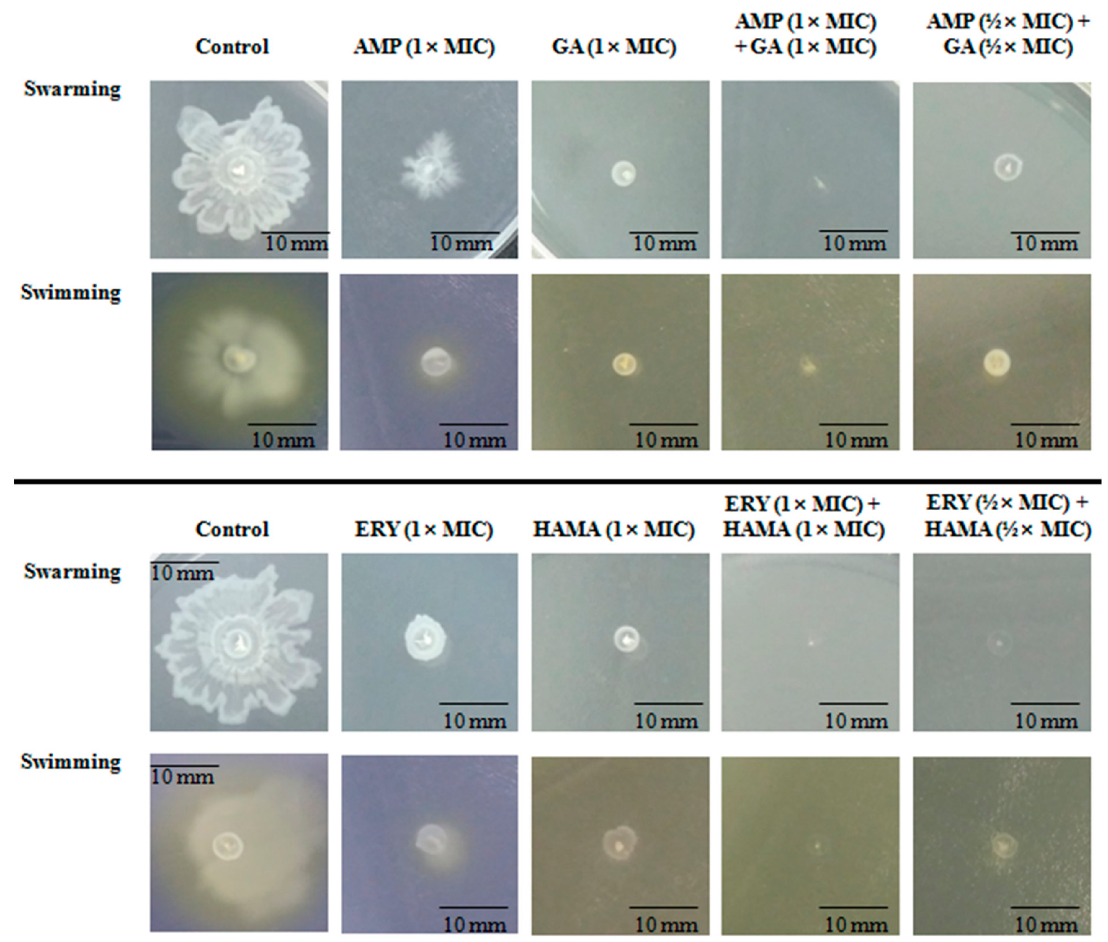 Pathogens 09 00811 g006 Pathogens 09 00811 g006