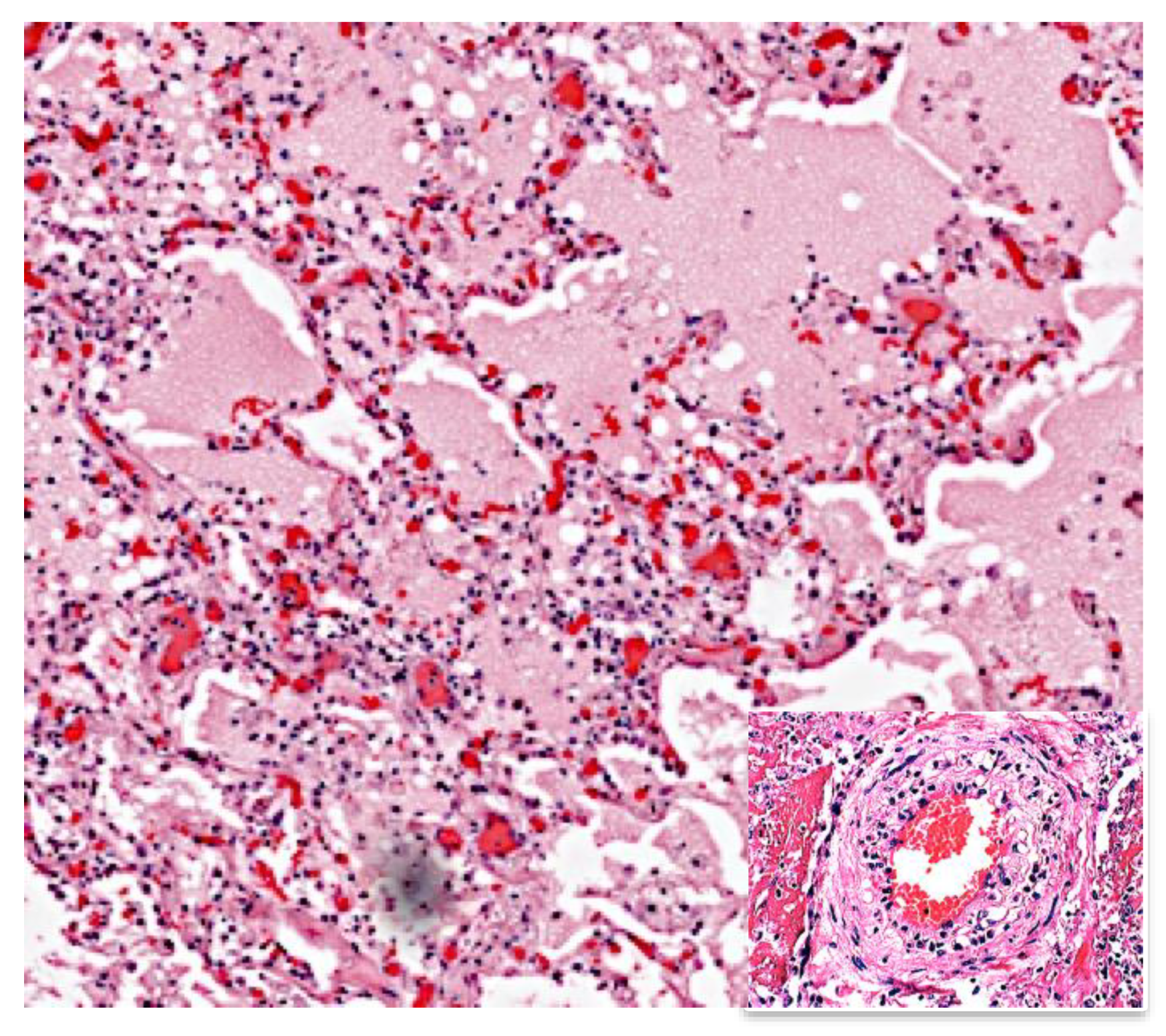 Pathogens 09 00813 g002