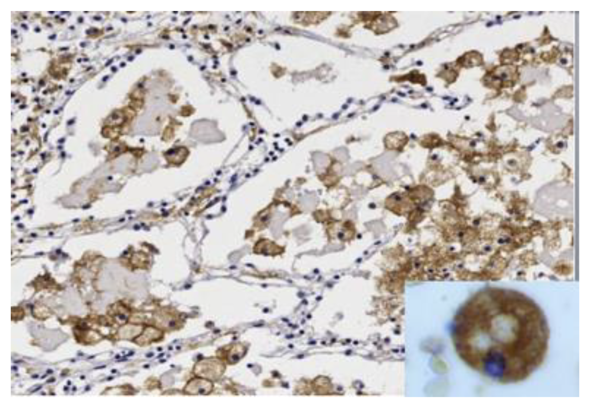 Pathogens 09 00813 g005