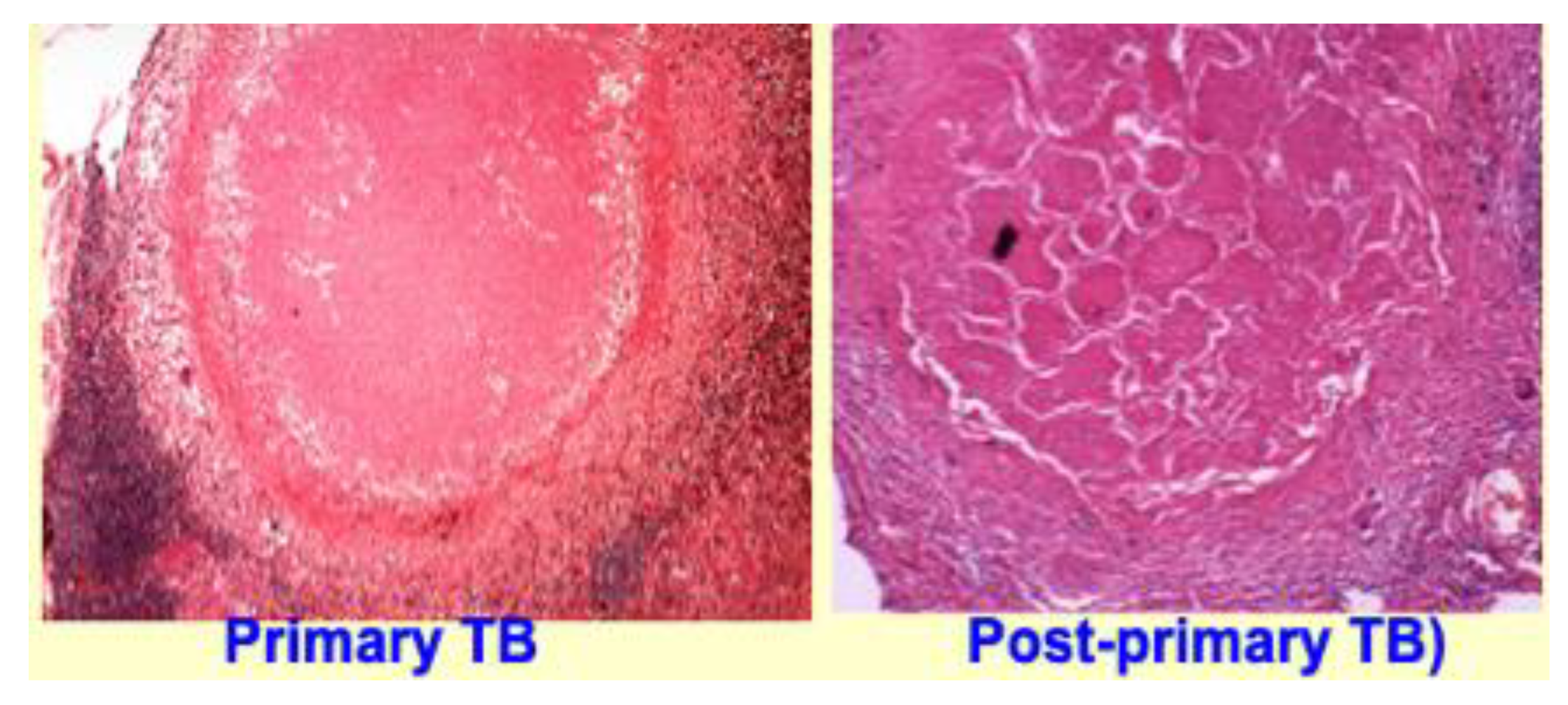 Pathogens 09 00813 g006