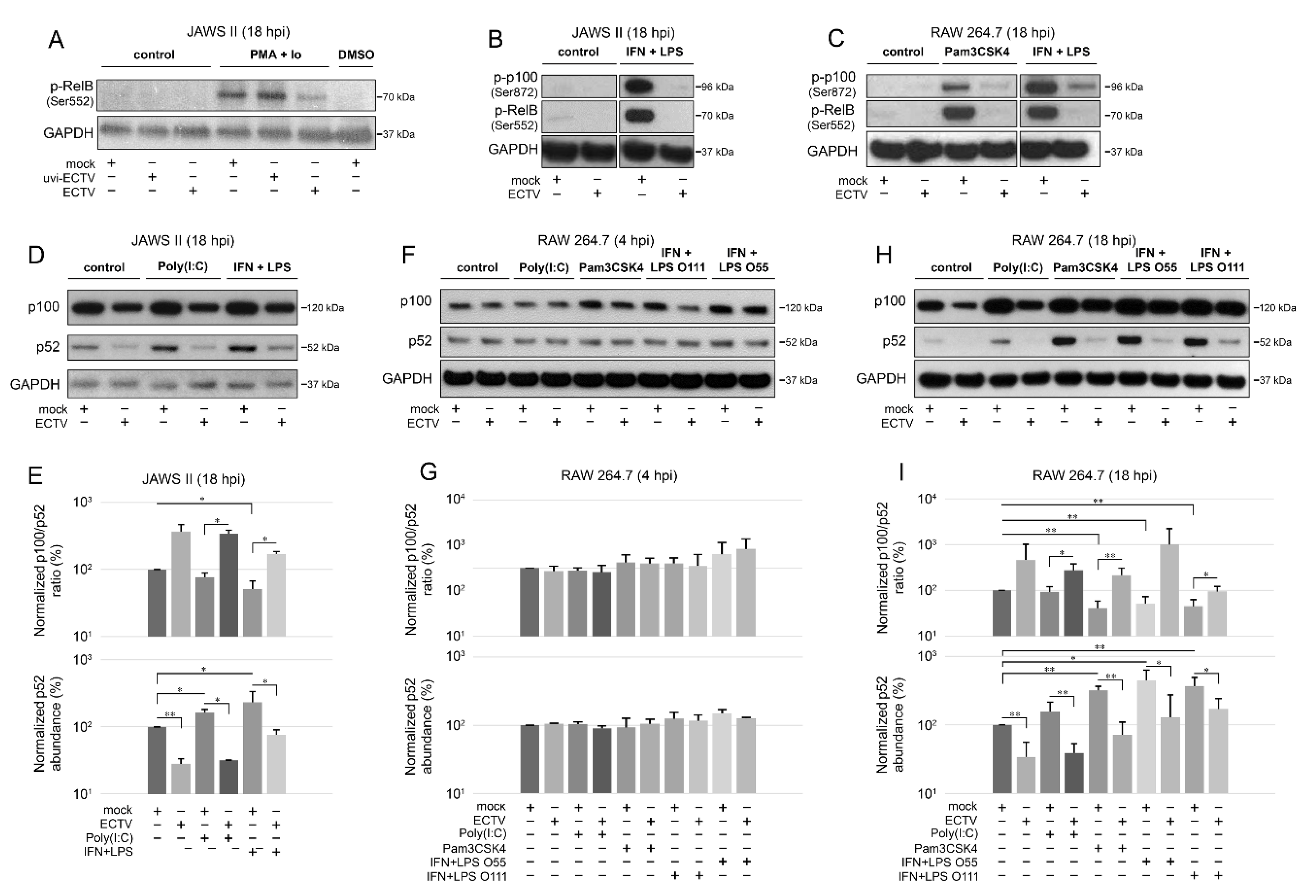 Pathogens 09 00814 g004 Pathogens 09 00814 g004
