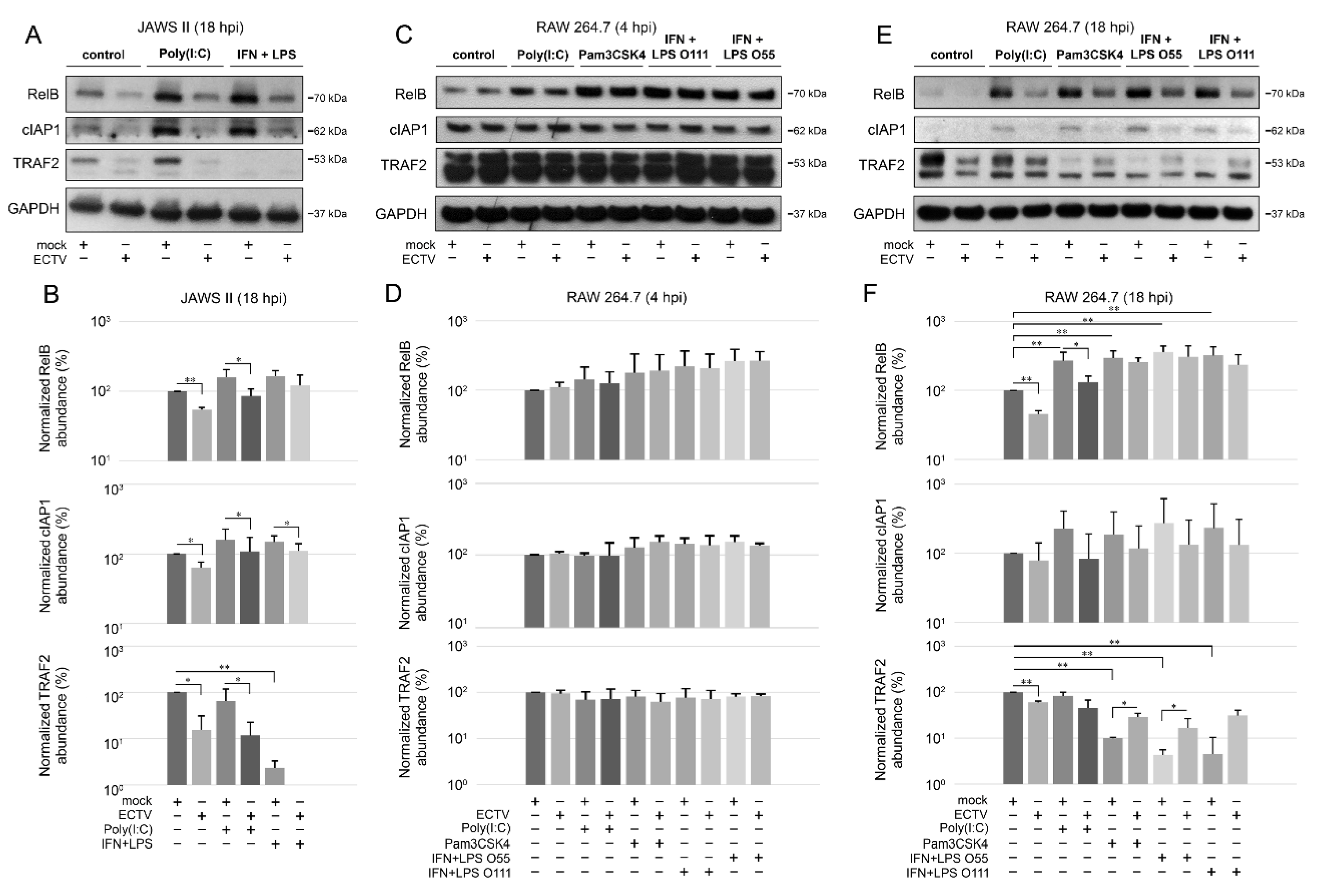 Pathogens 09 00814 g005 Pathogens 09 00814 g005