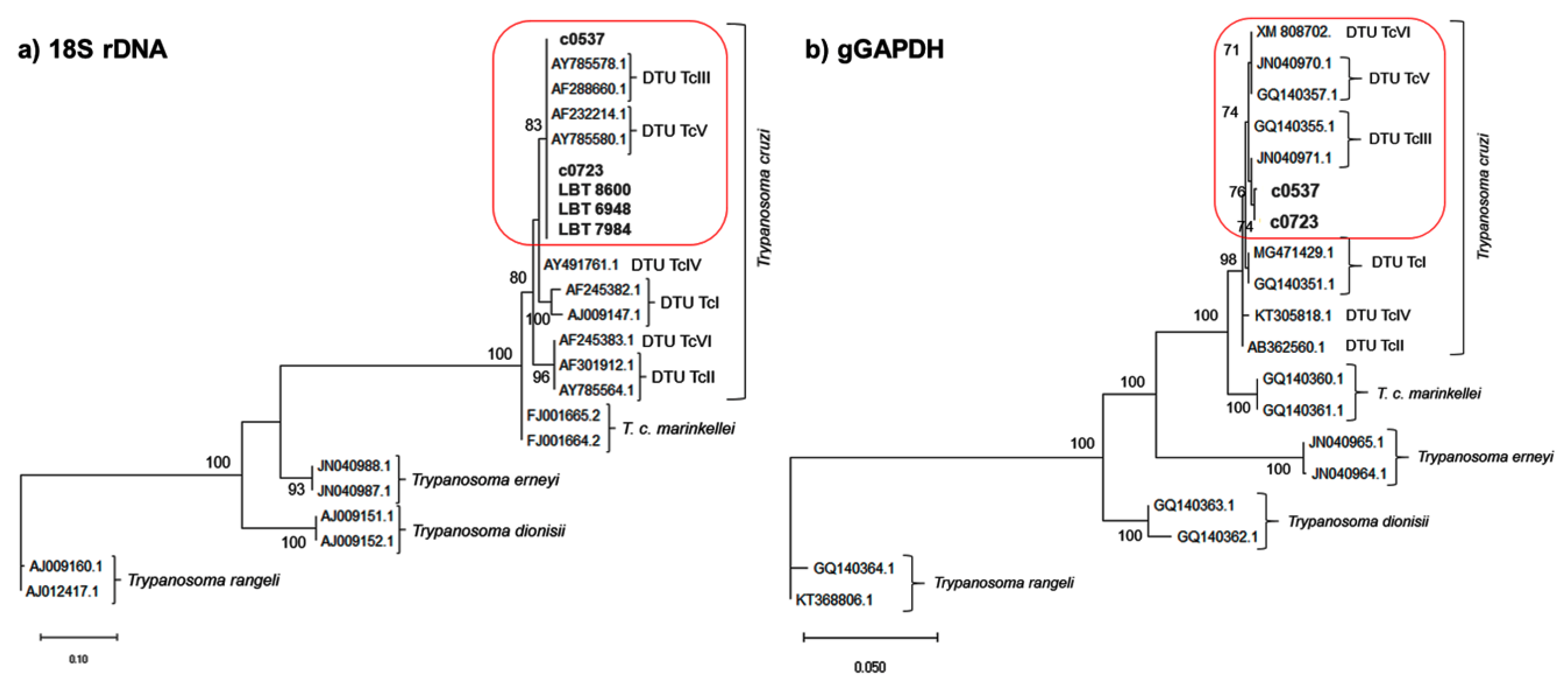 Pathogens 09 00818 g001 Pathogens 09 00818 g001