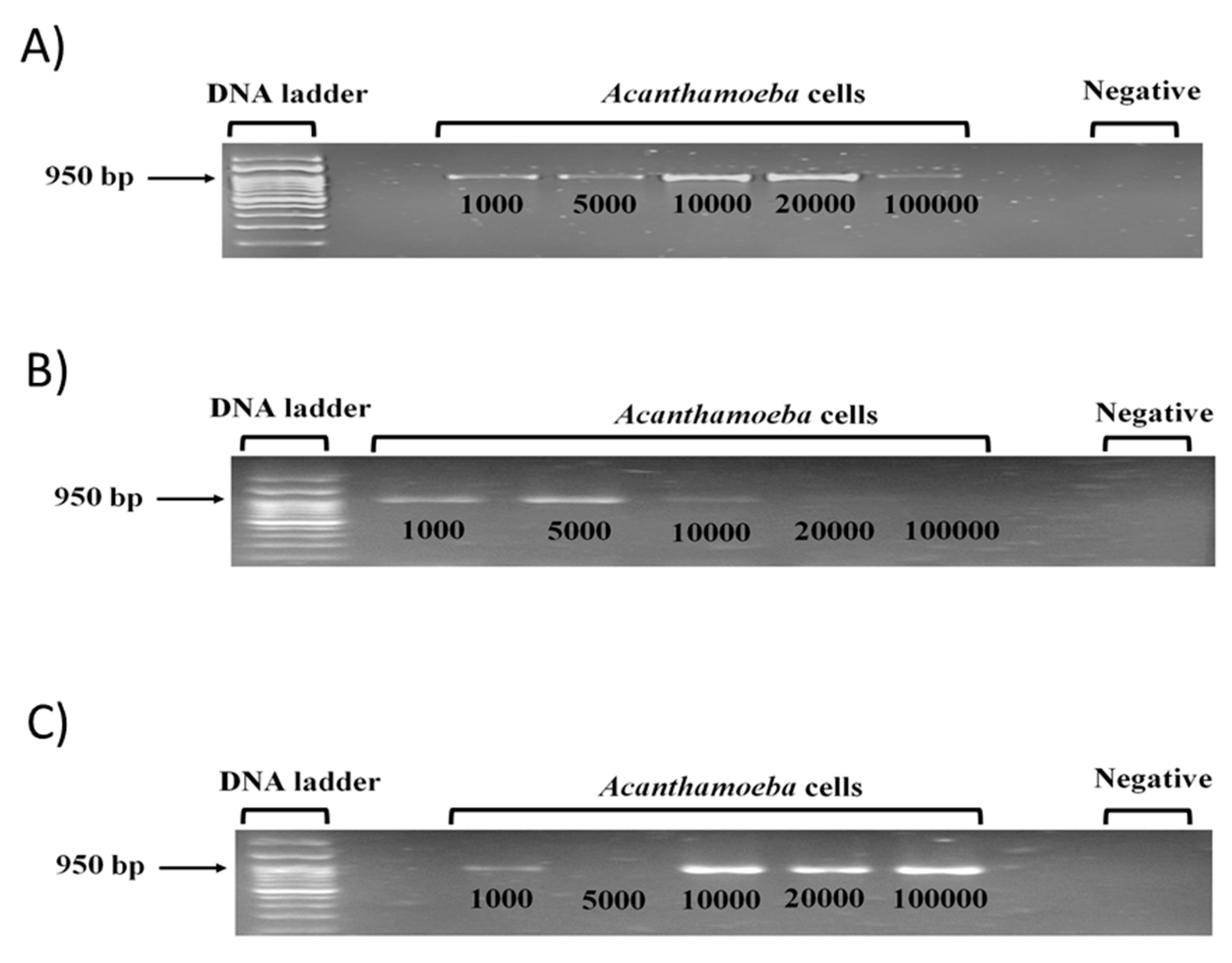 Pathogens 09 00824 g003 Pathogens 09 00824 g003