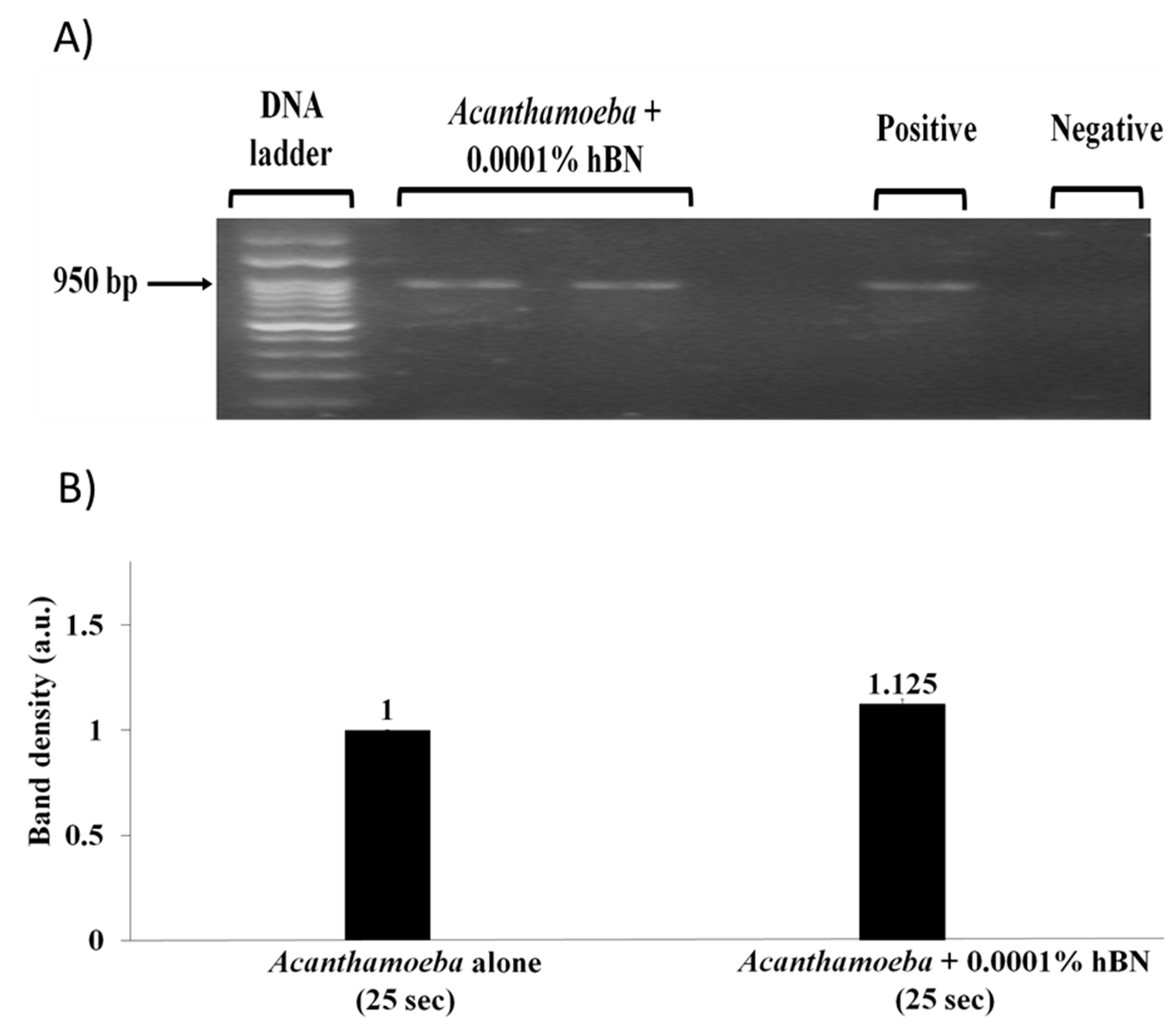 Pathogens 09 00824 g006 Pathogens 09 00824 g006
