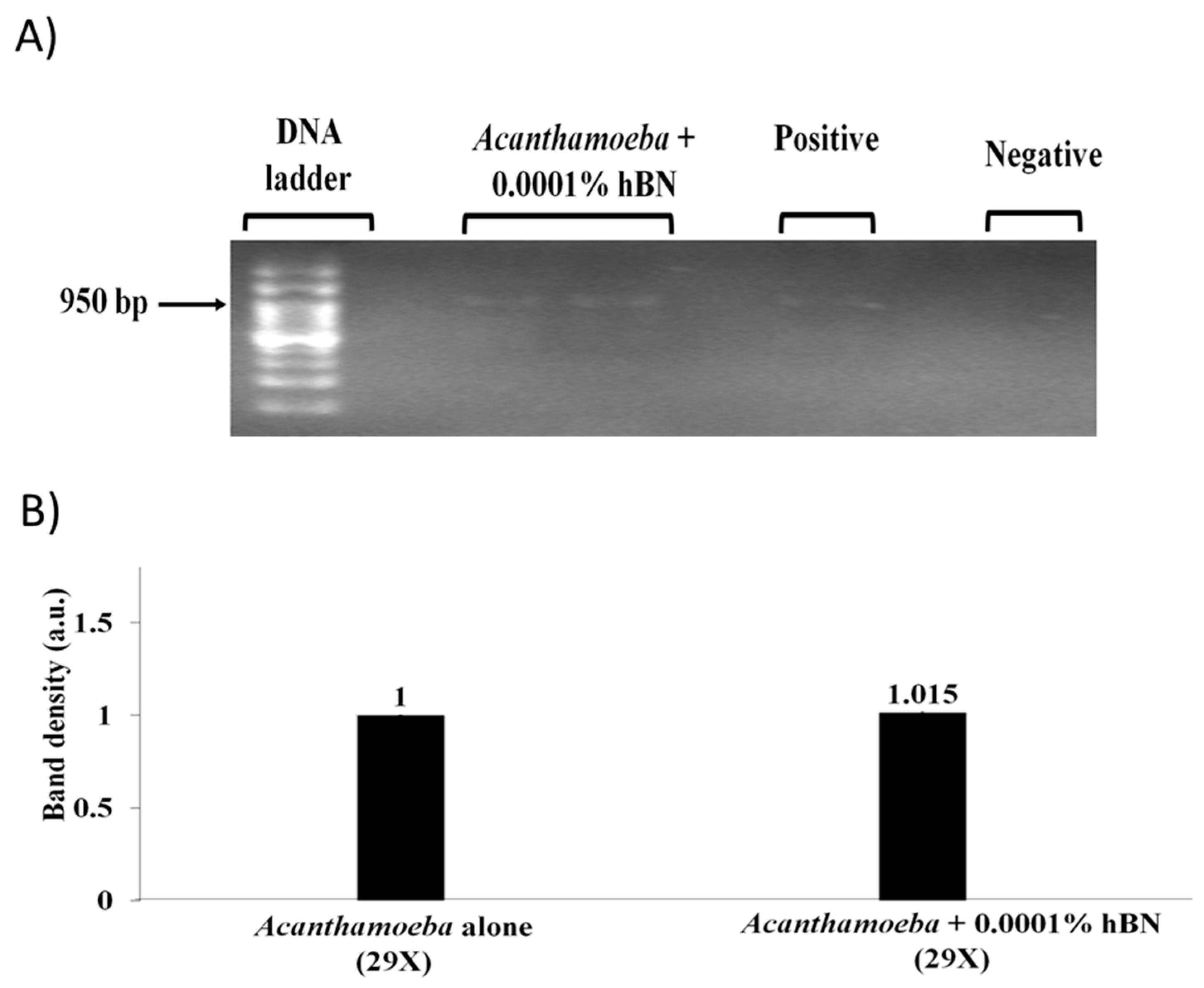 Pathogens 09 00824 g007 Pathogens 09 00824 g007