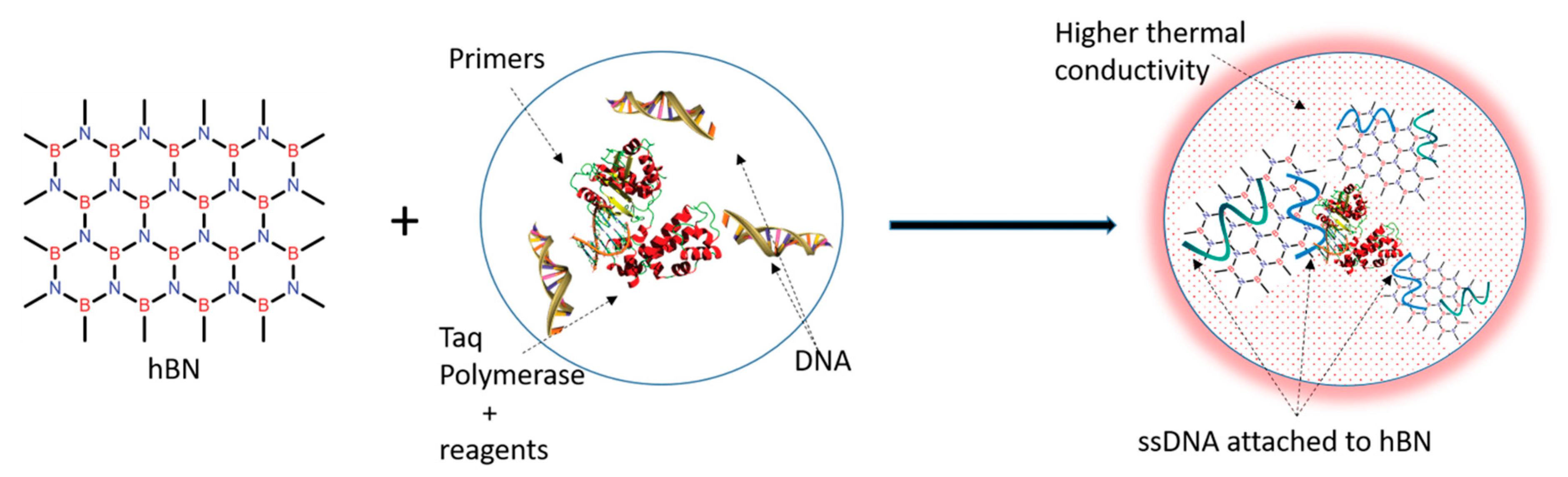 Pathogens 09 00824 g008 Pathogens 09 00824 g008