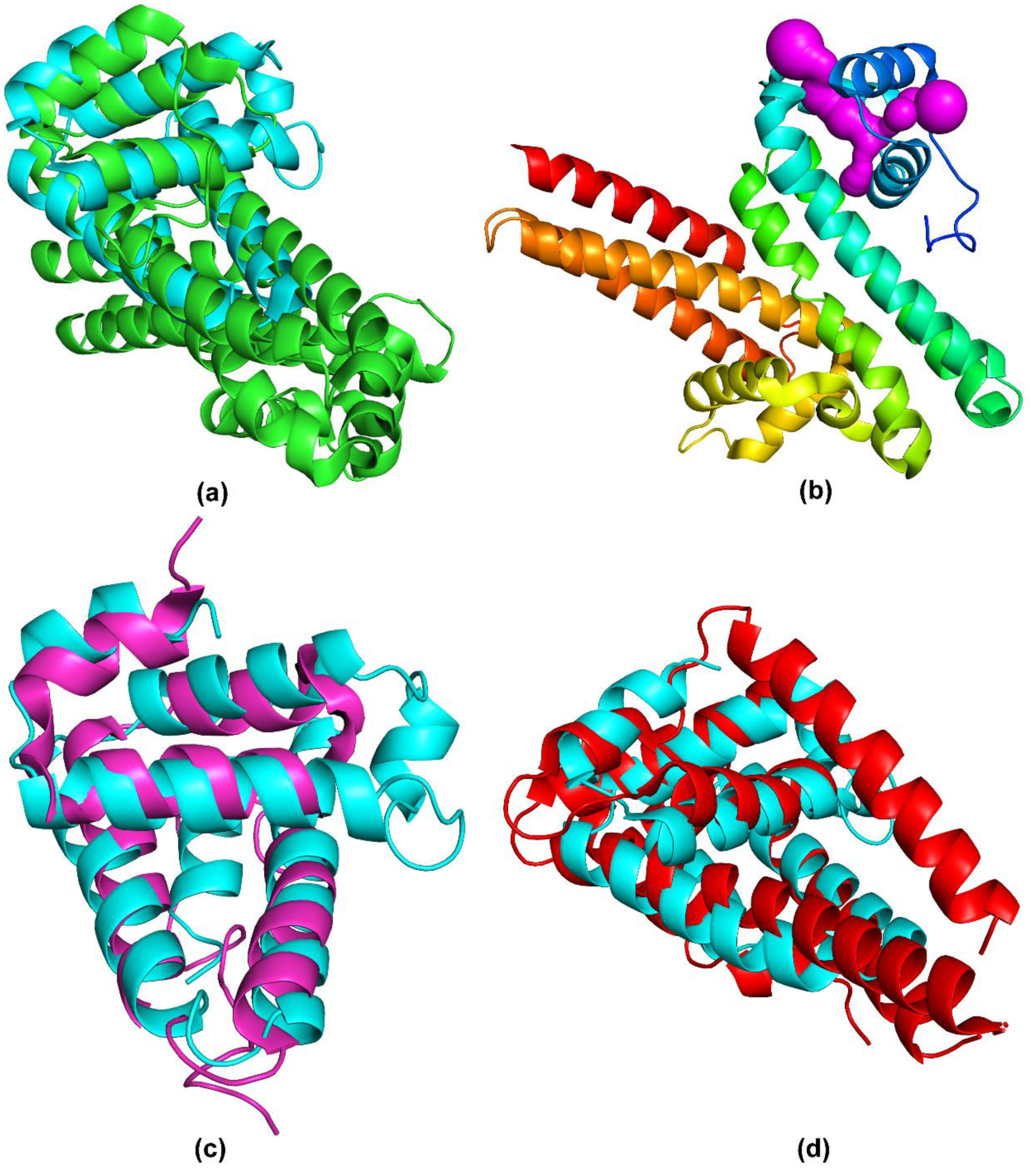 Pathogens 09 00826 g003