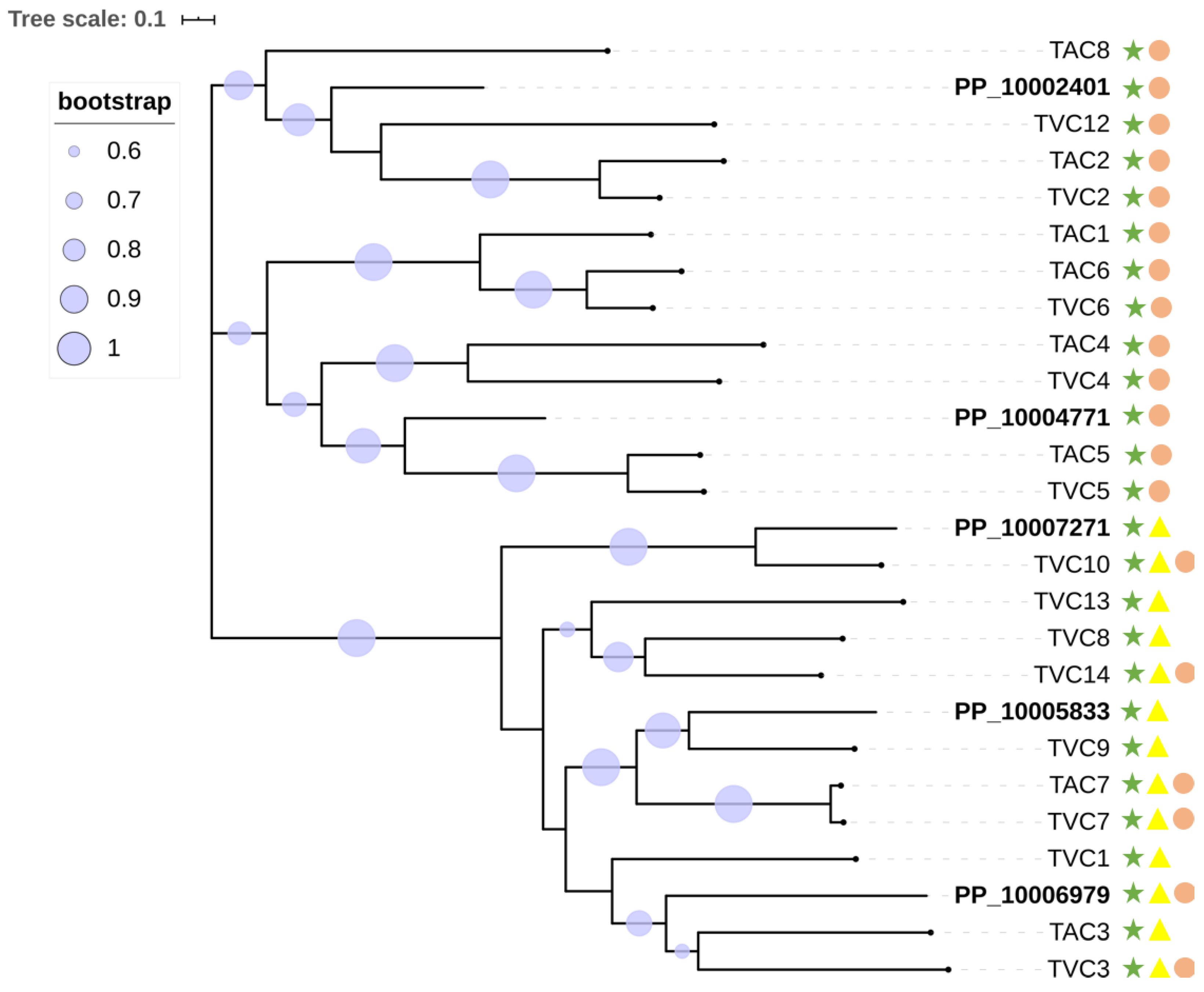 Pathogens 09 00834 g003 Pathogens 09 00834 g003