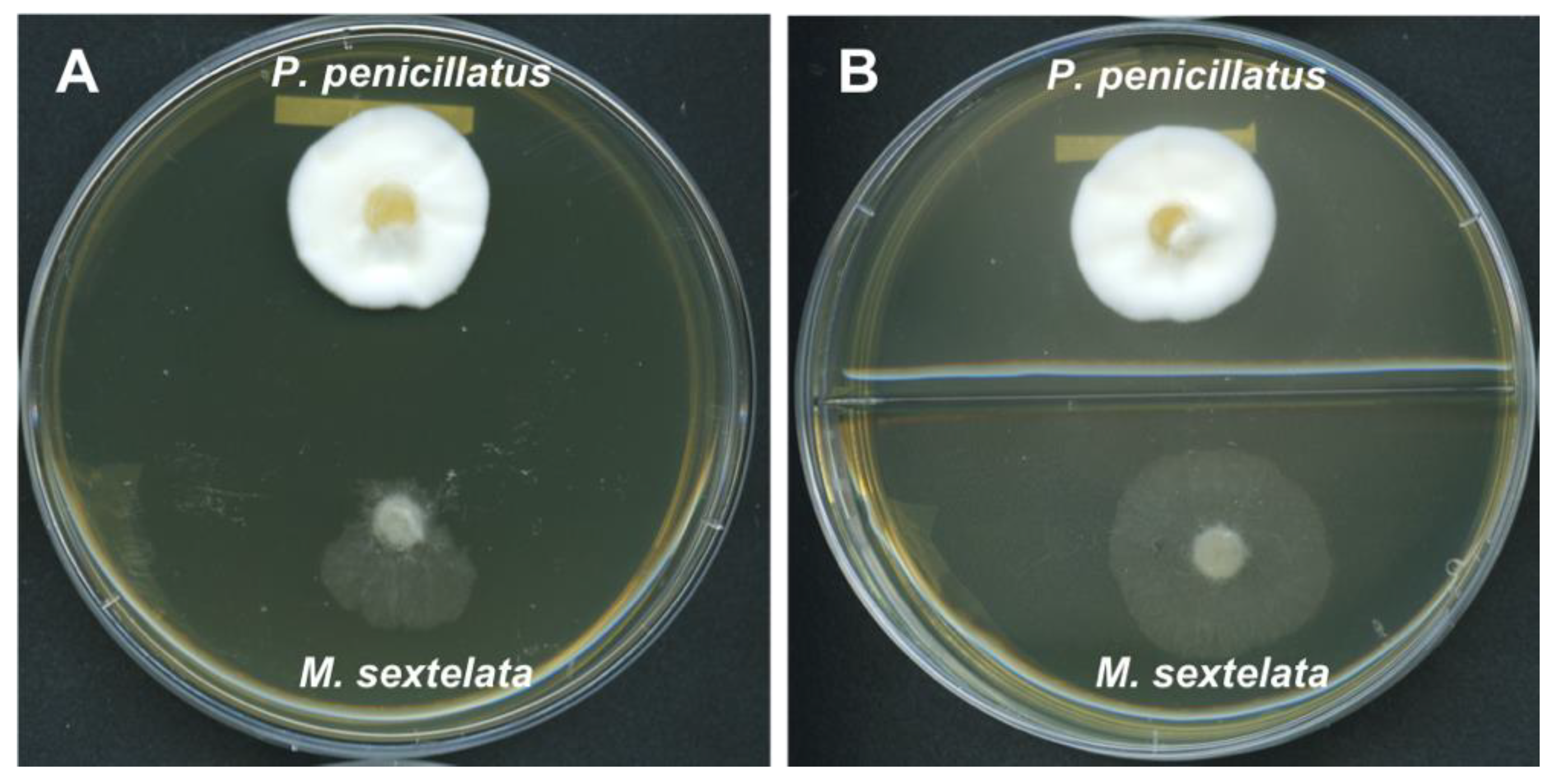 Pathogens 09 00834 g004 Pathogens 09 00834 g004