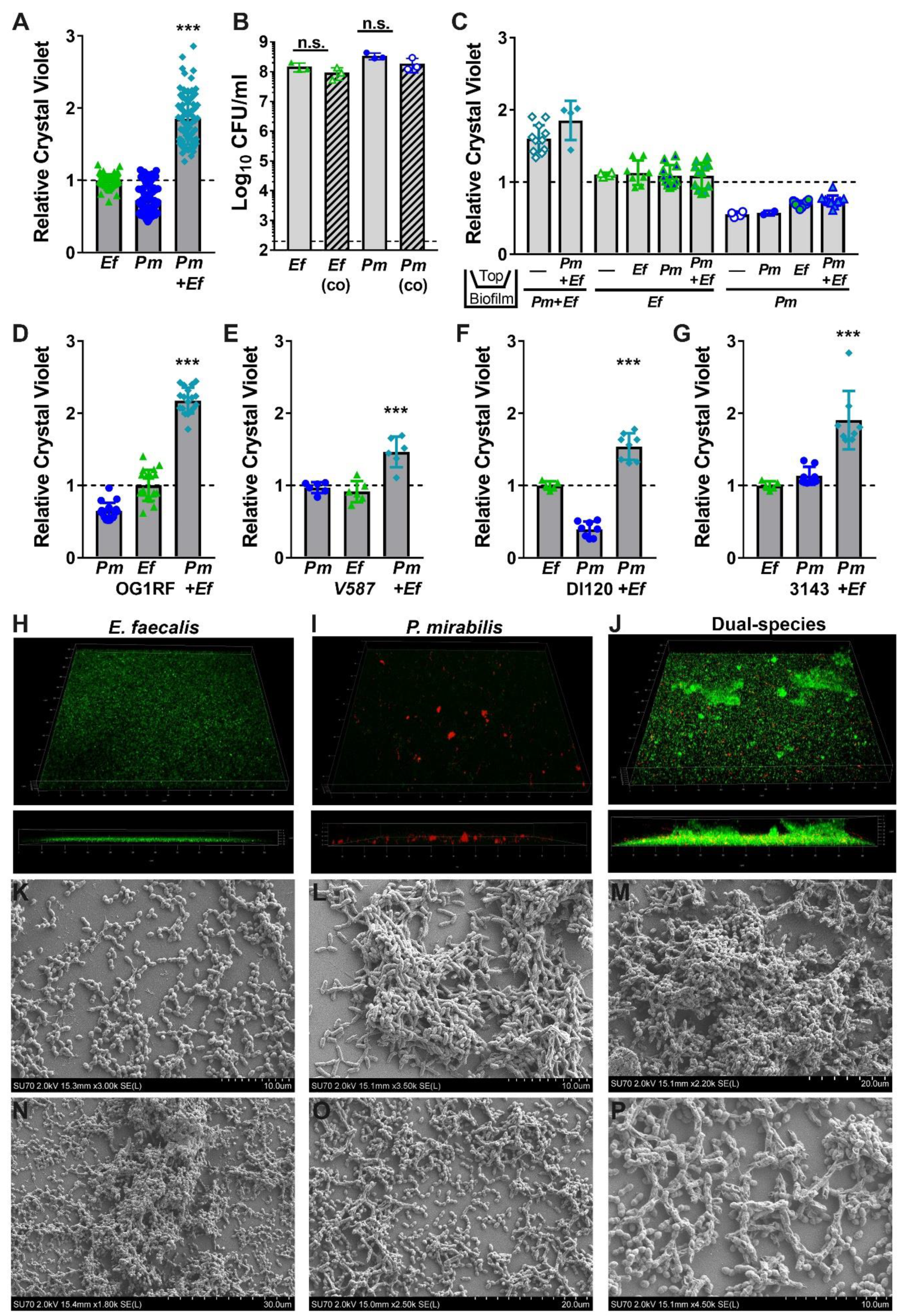 Pathogens 09 00835 g004