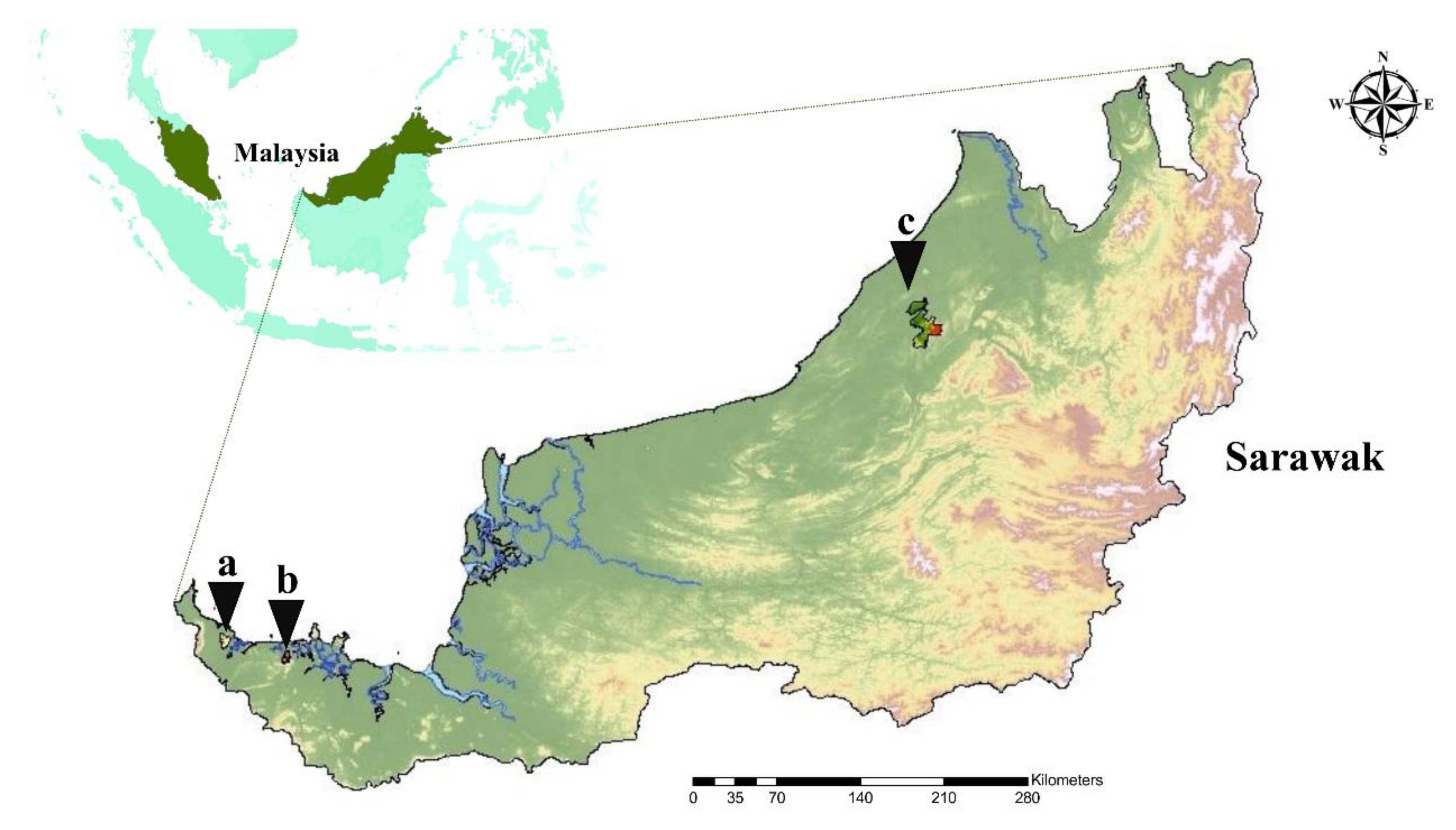 Pathogens 09 00846 g001