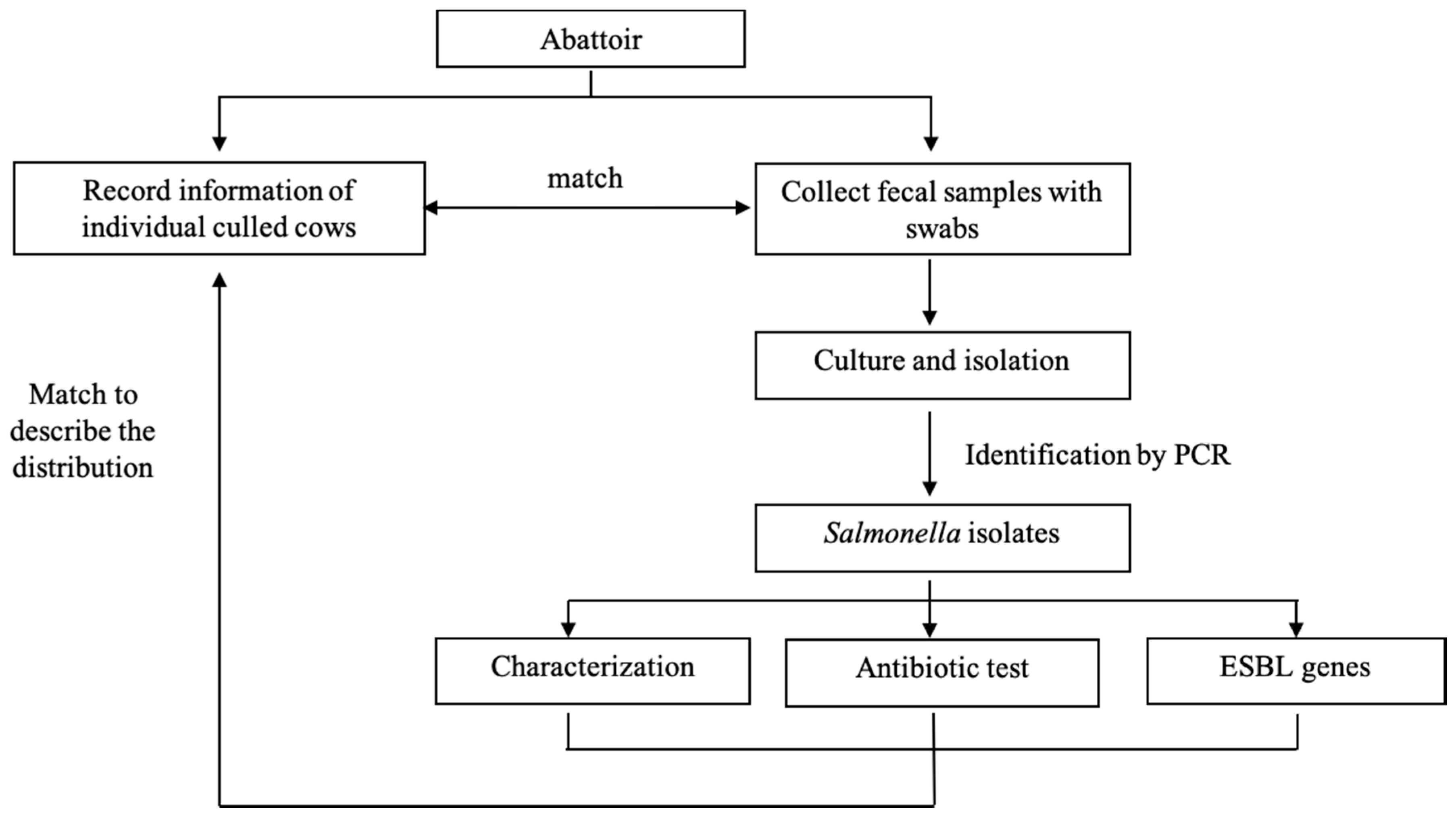 Pathogens 09 00853 g001