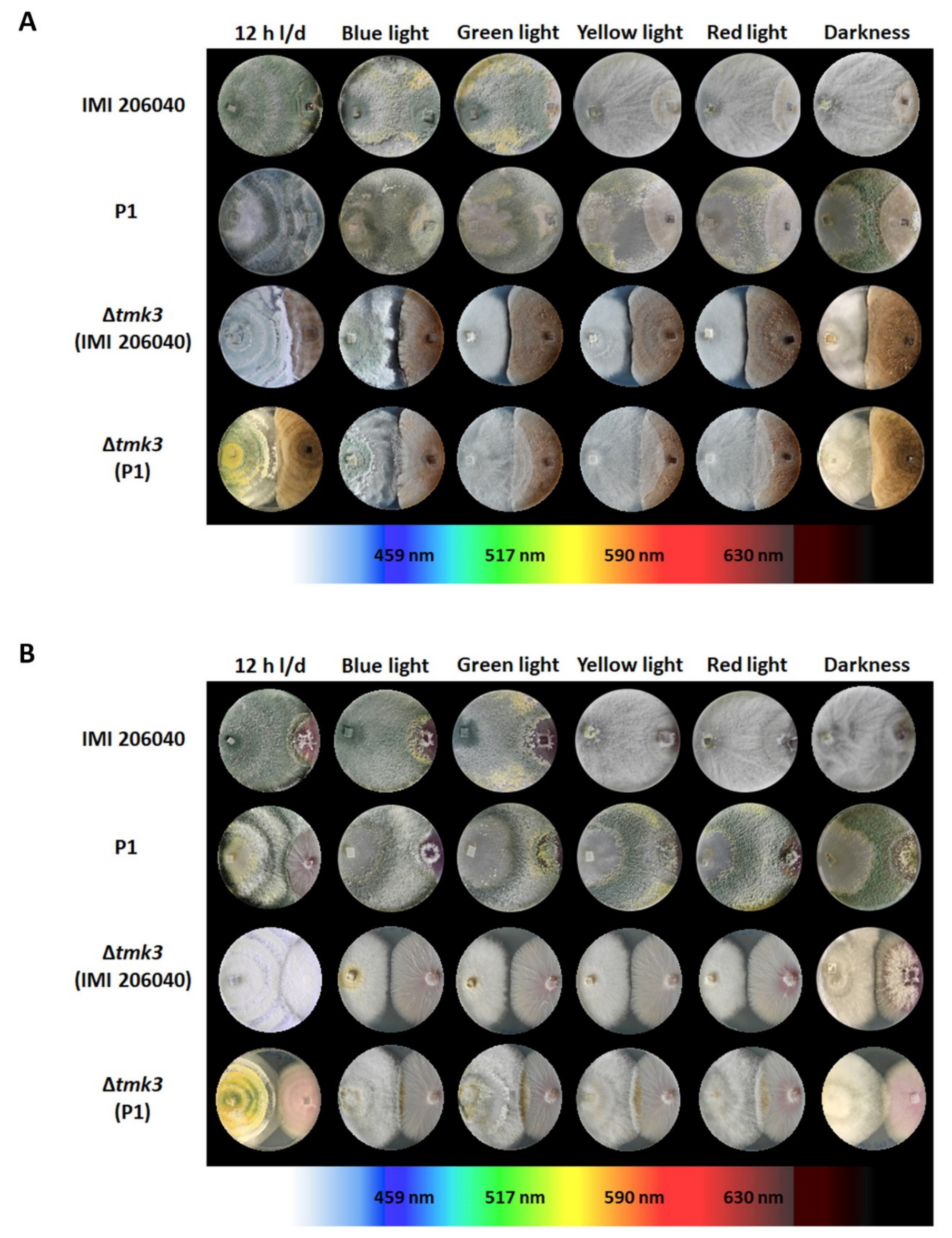 Pathogens 09 00860 g004 Pathogens 09 00860 g004