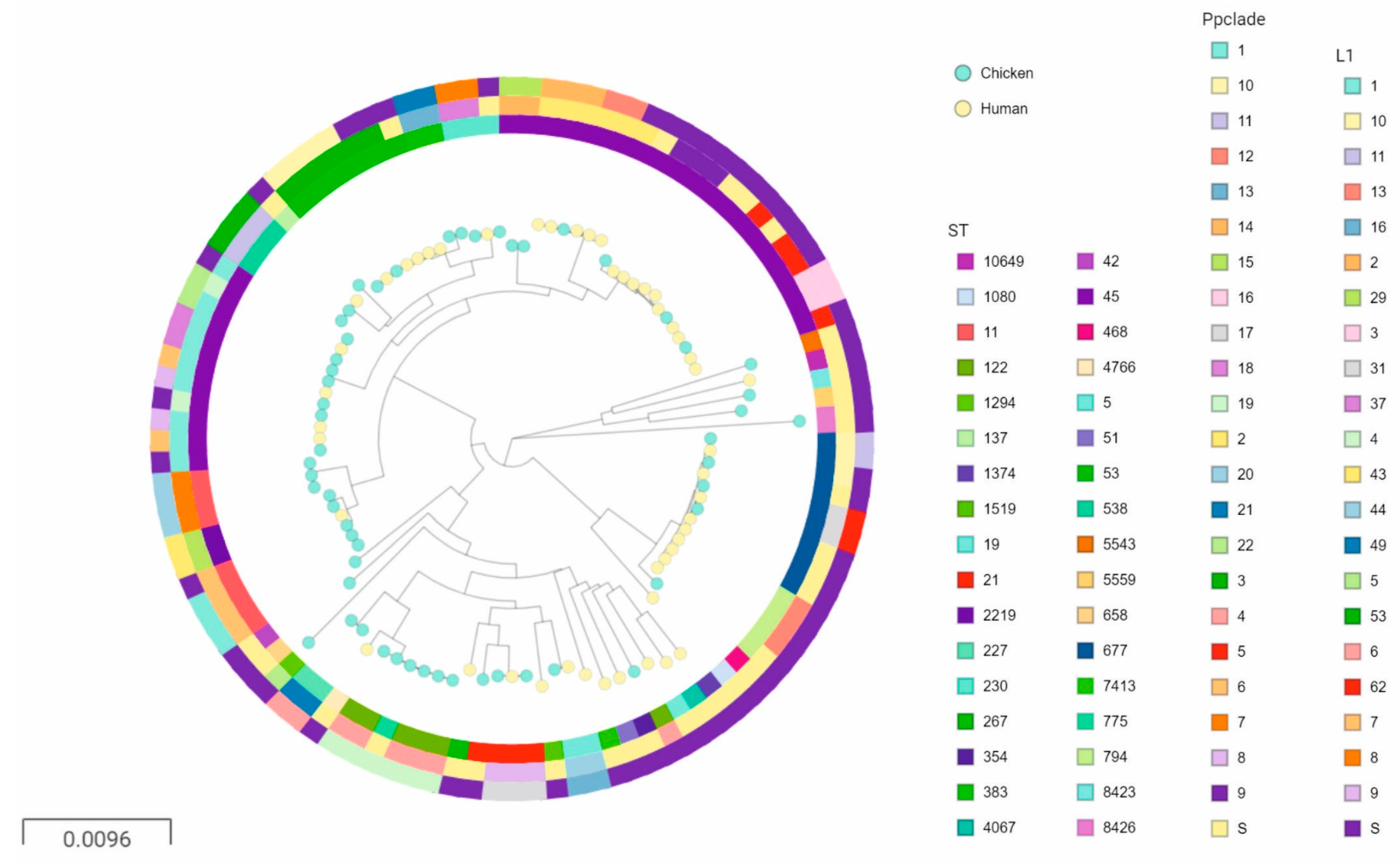 Pathogens 09 00868 g002