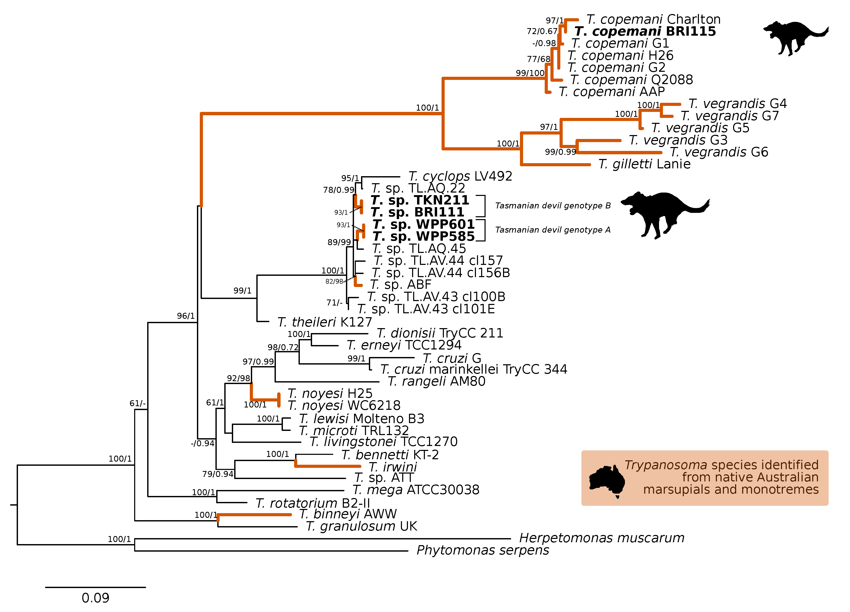 Pathogens 09 00873 g002