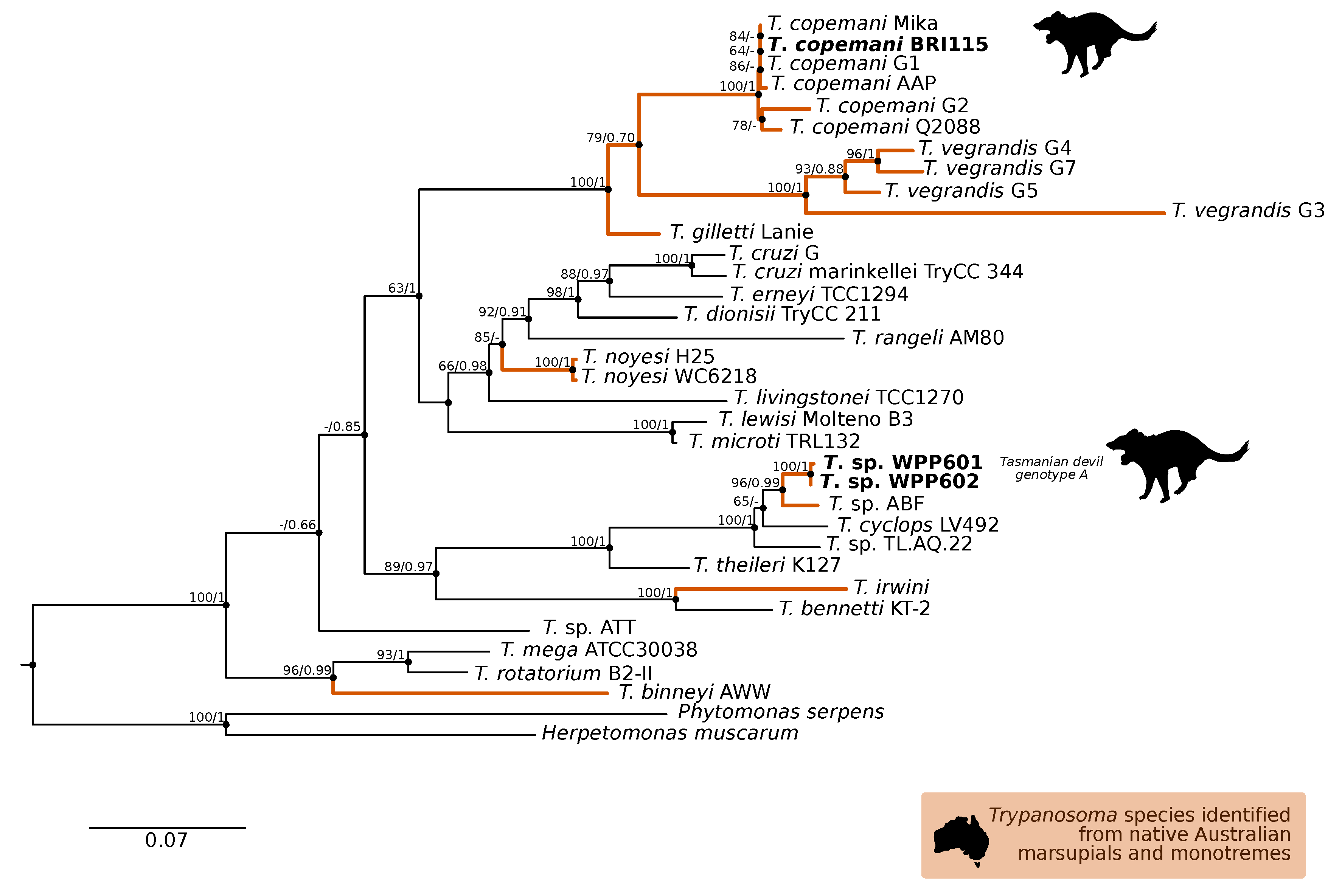 Pathogens 09 00873 g003