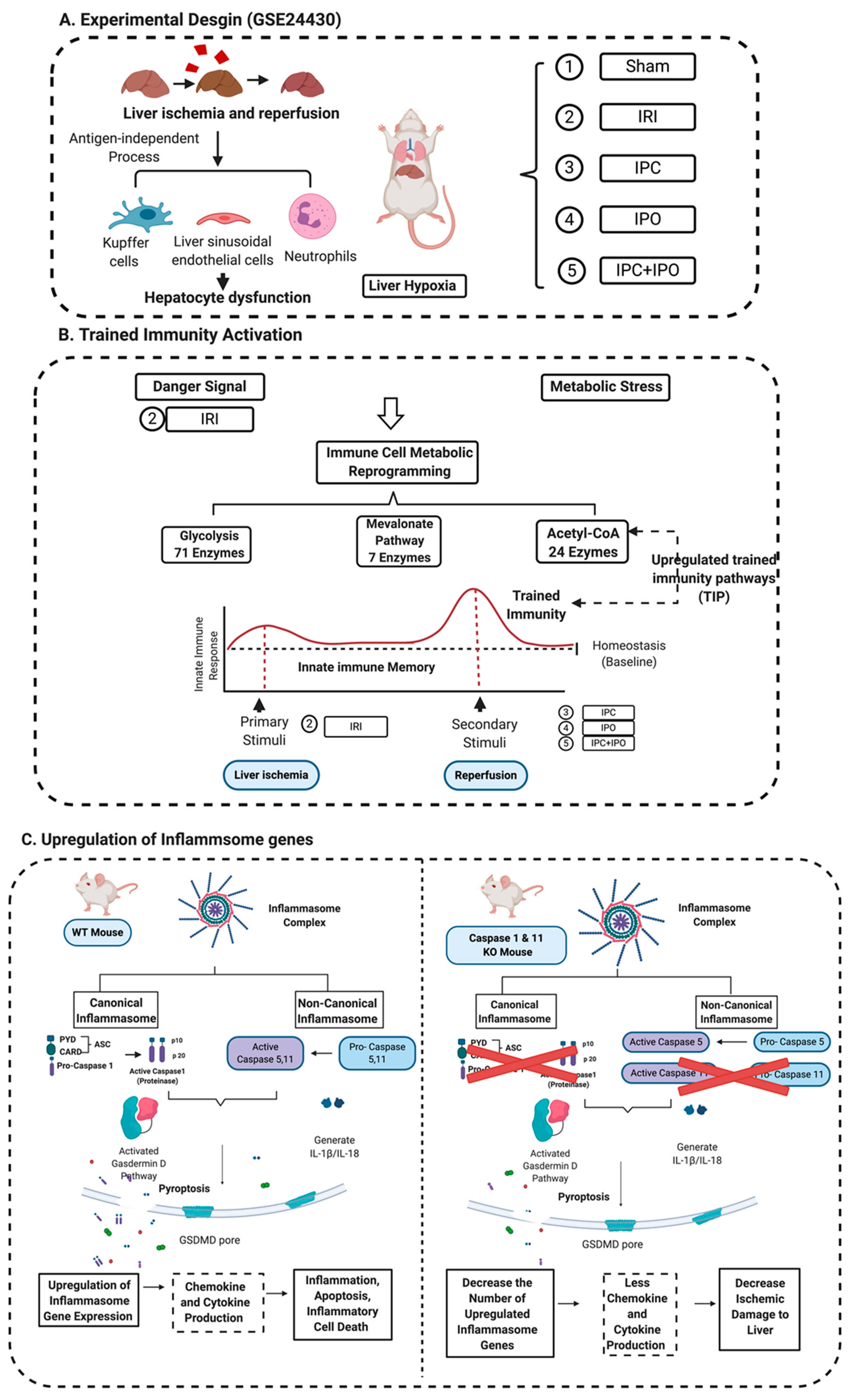 Pathogens 09 00879 g009