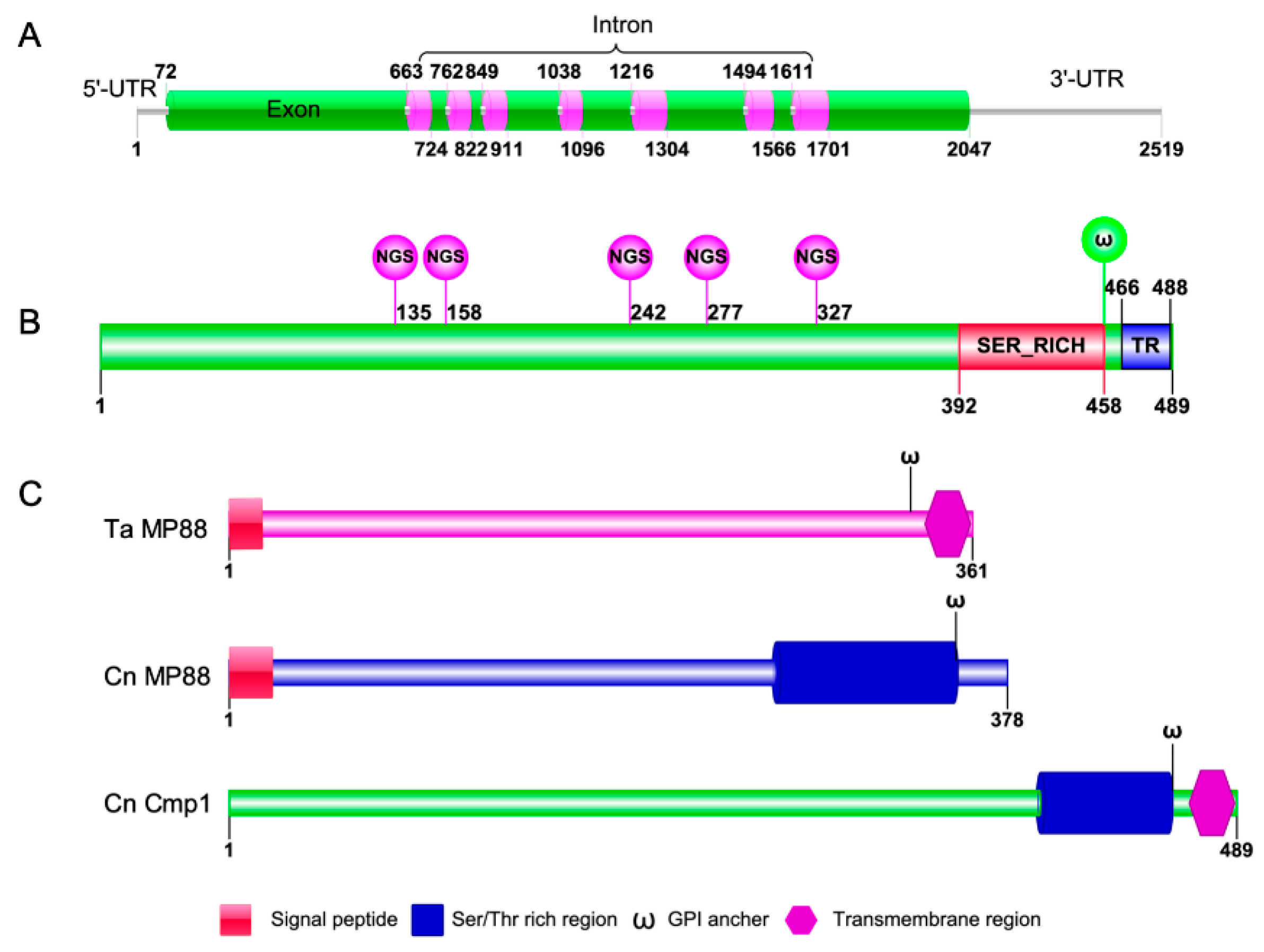 Pathogens 09 00881 g001