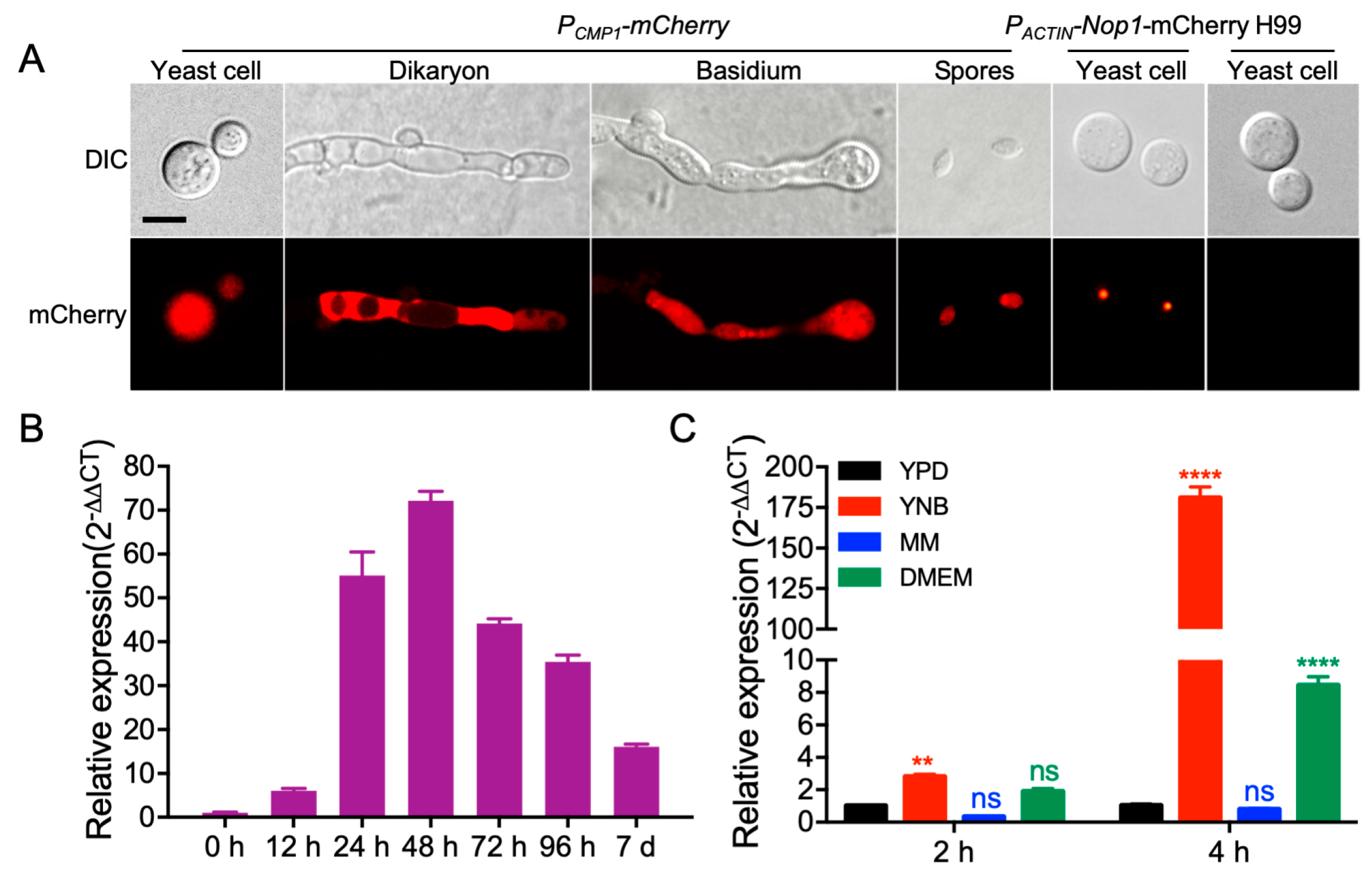 Pathogens 09 00881 g002