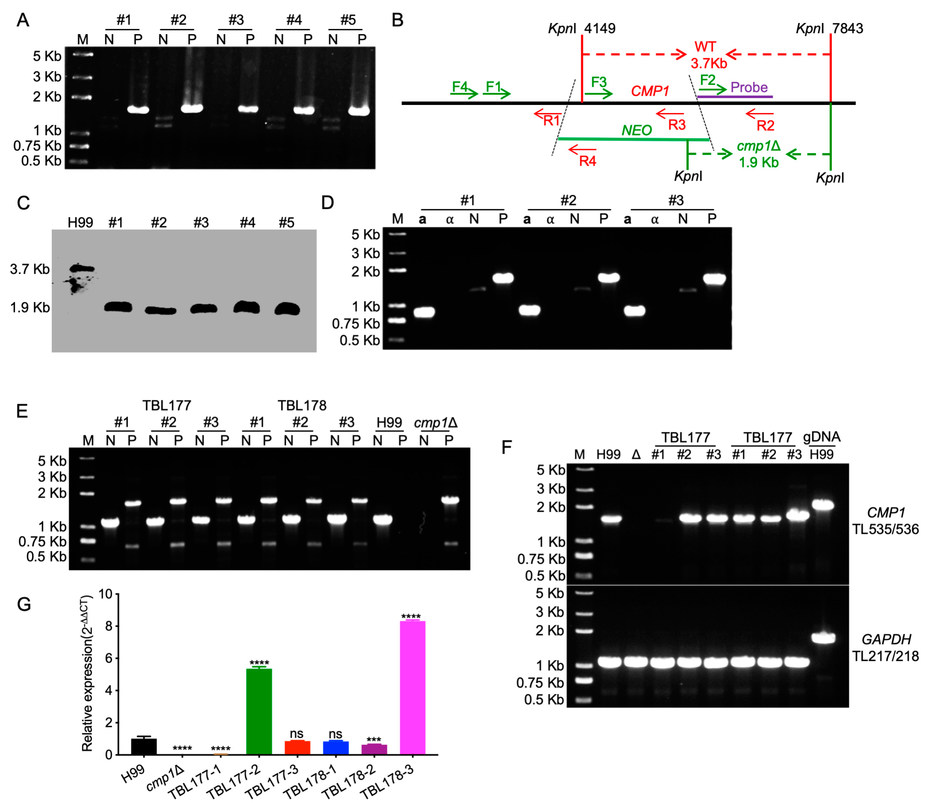 Pathogens 09 00881 g004