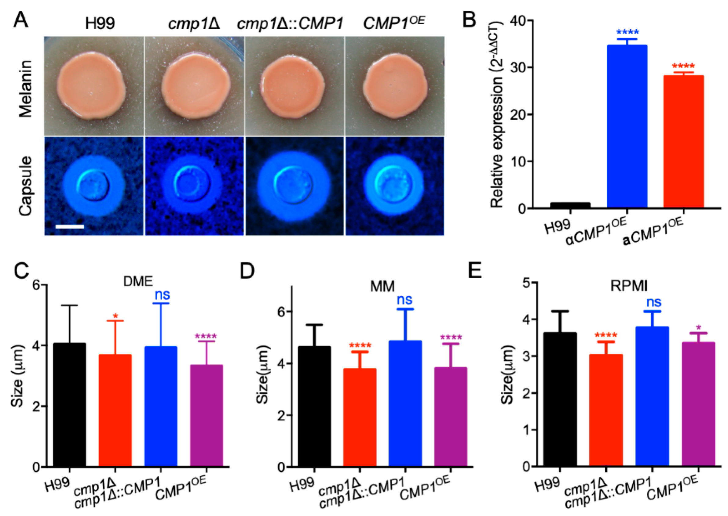 Pathogens 09 00881 g005