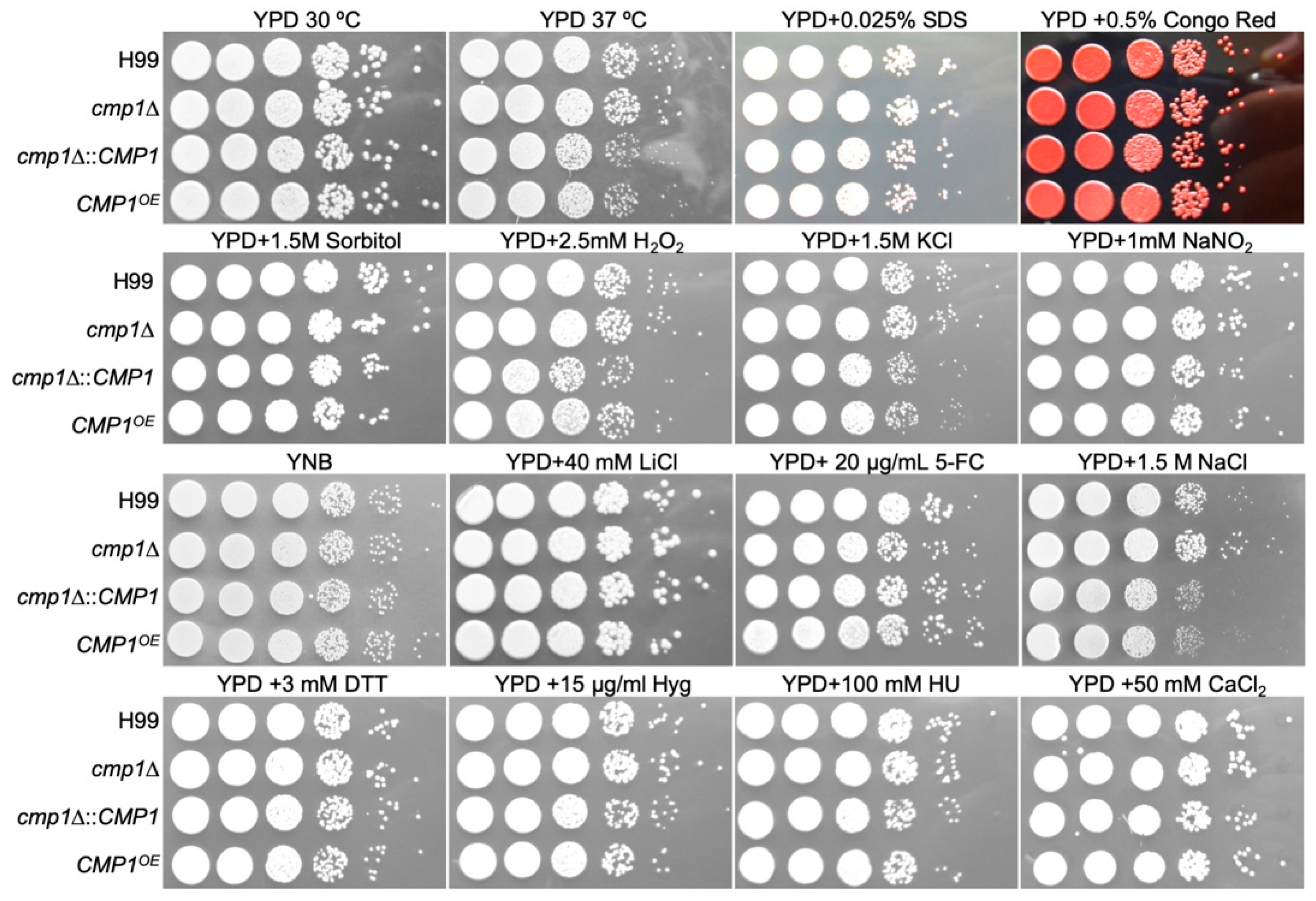 Pathogens 09 00881 g006