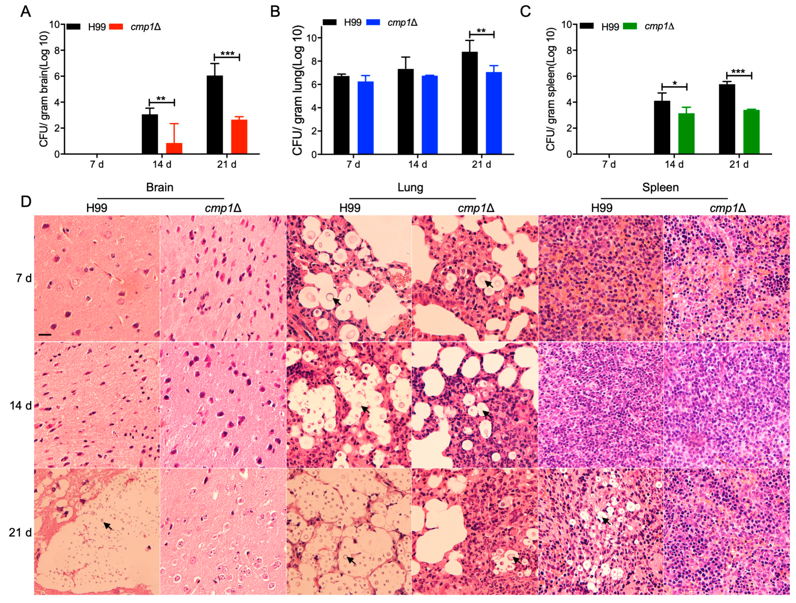 Pathogens 09 00881 g009