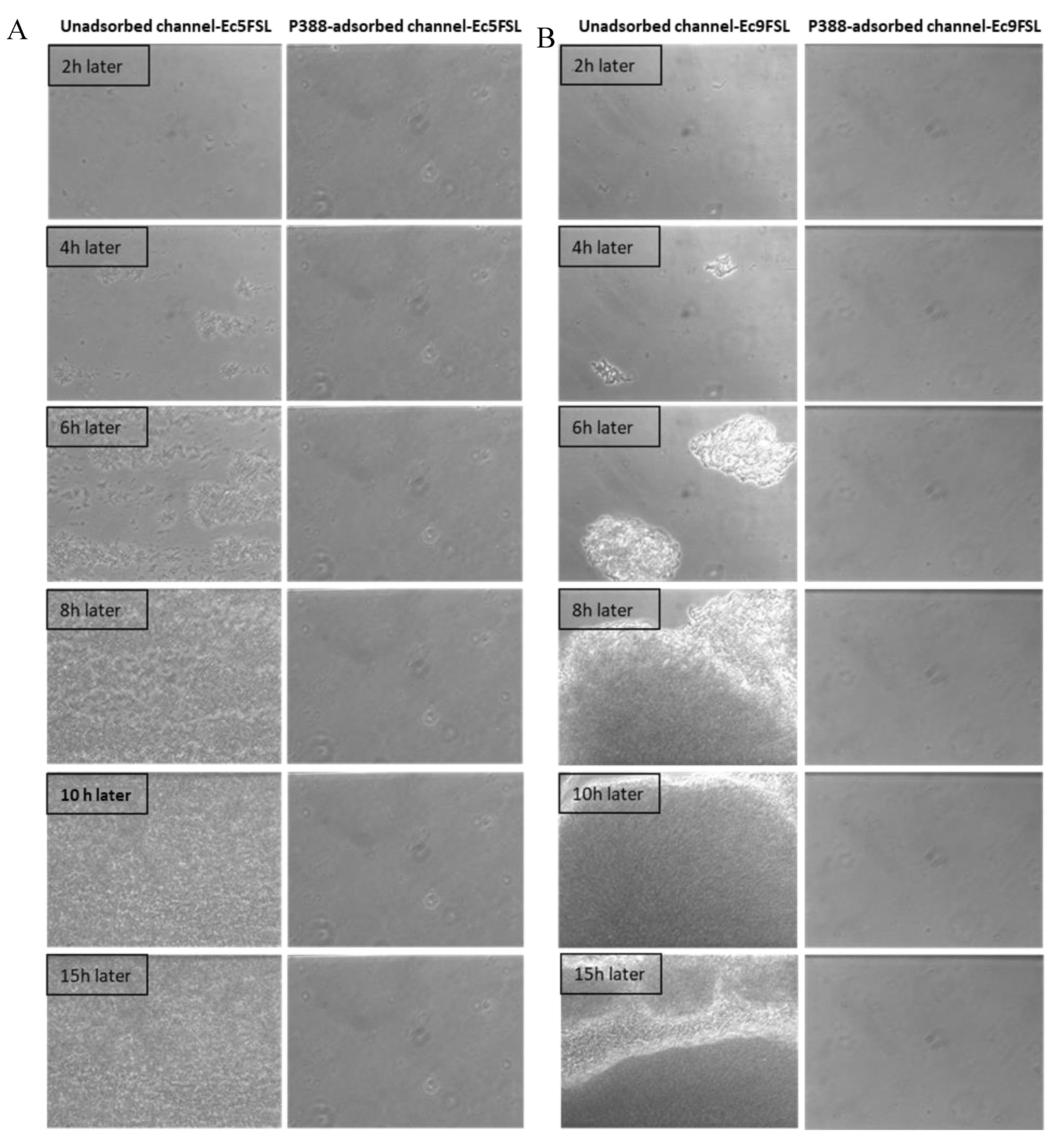 Pathogens 09 00885 g008