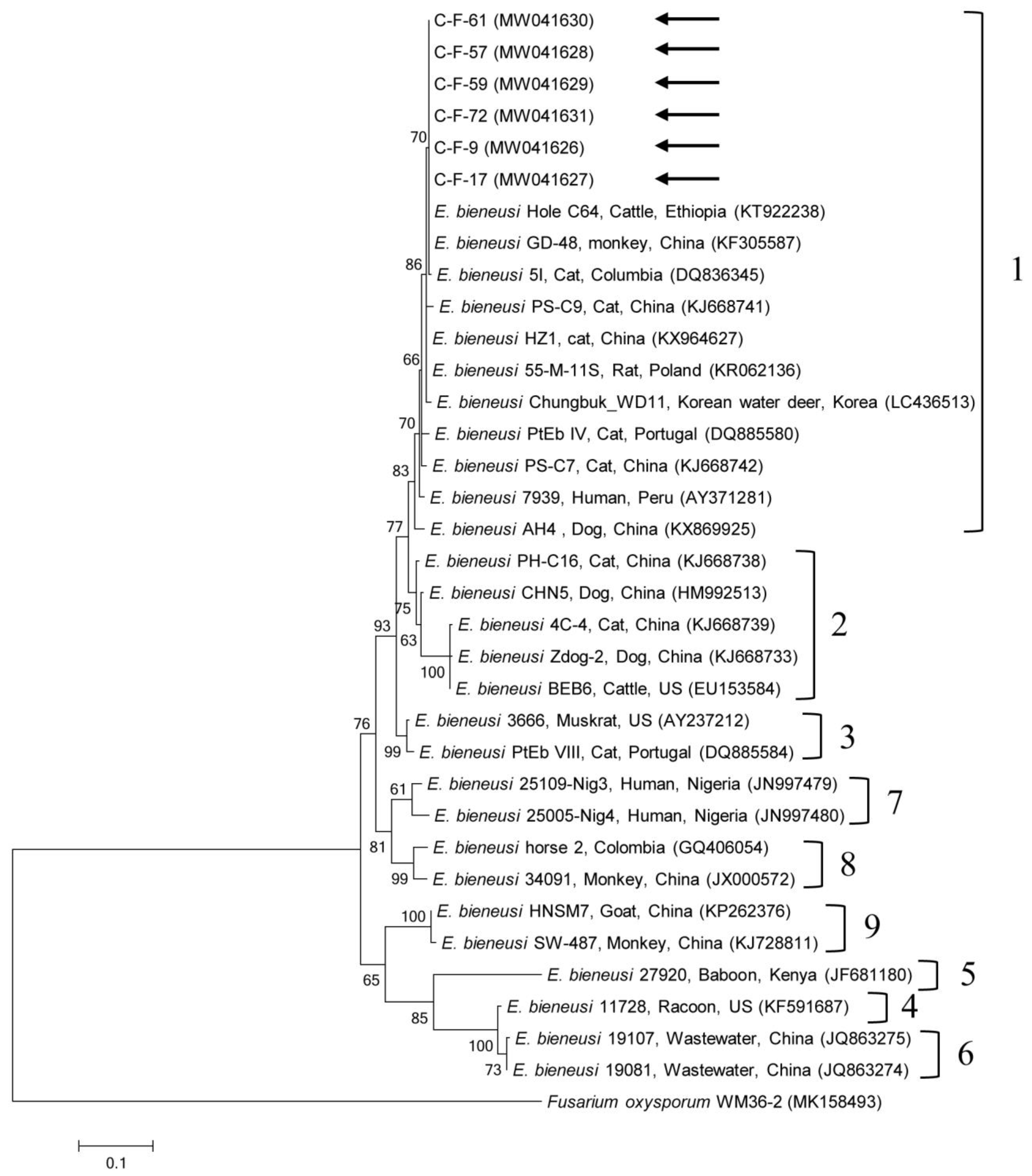 Pathogens 09 00894 g002