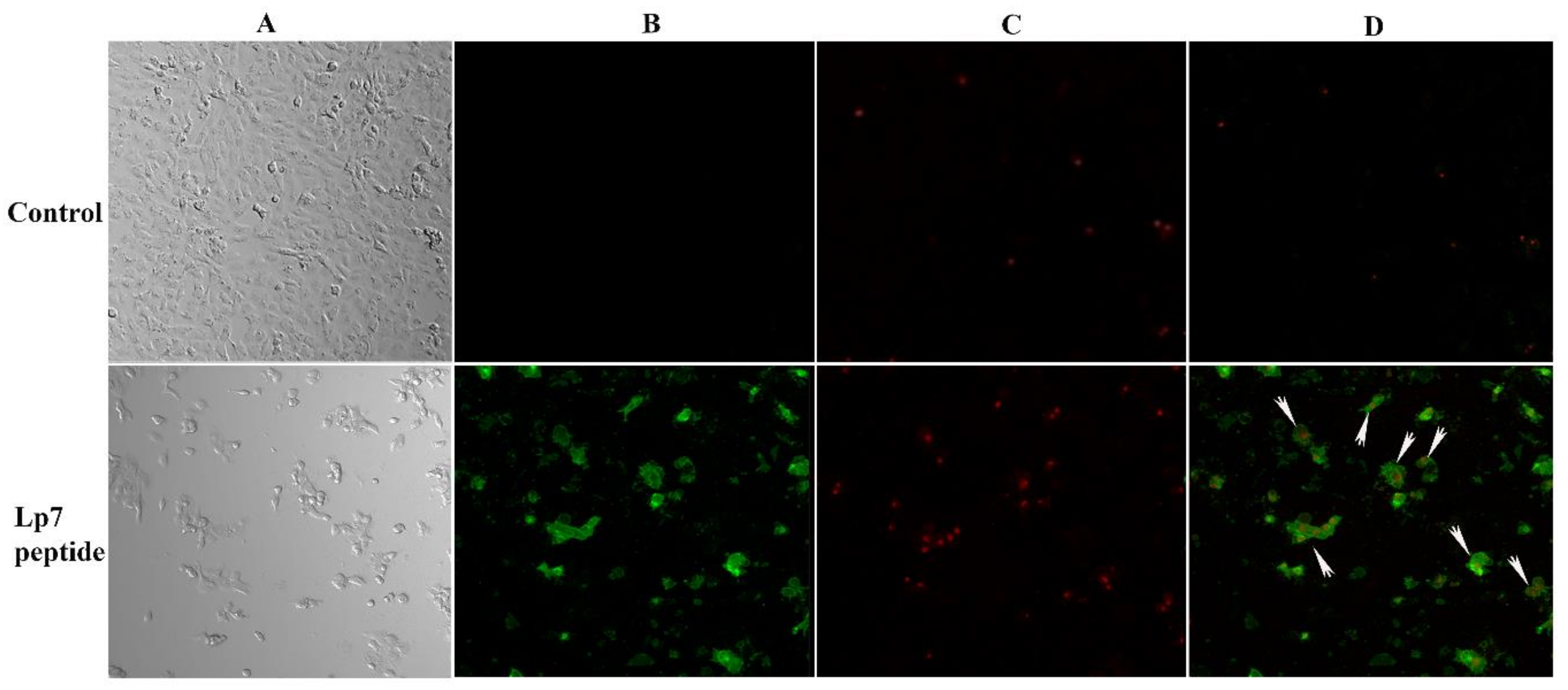 Pathogens 09 00906 g006