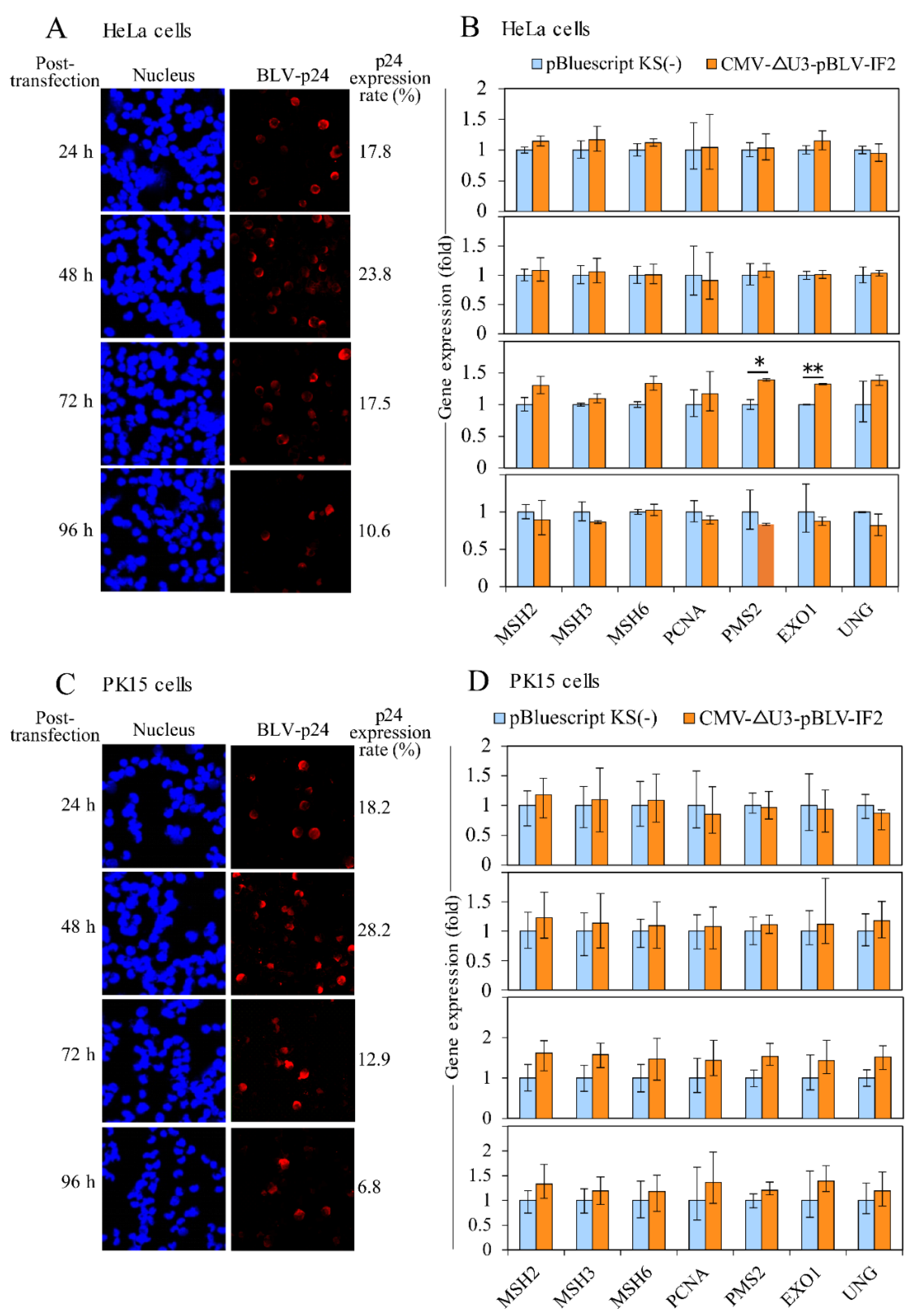 Pathogens 09 00909 g004 Pathogens 09 00909 g004