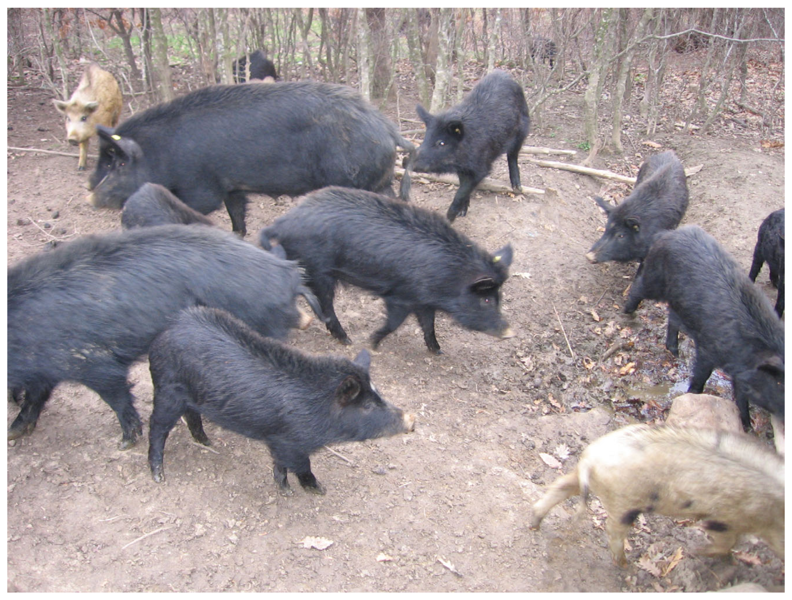 Pathogens 09 00911 g001 Pathogens 09 00911 g001