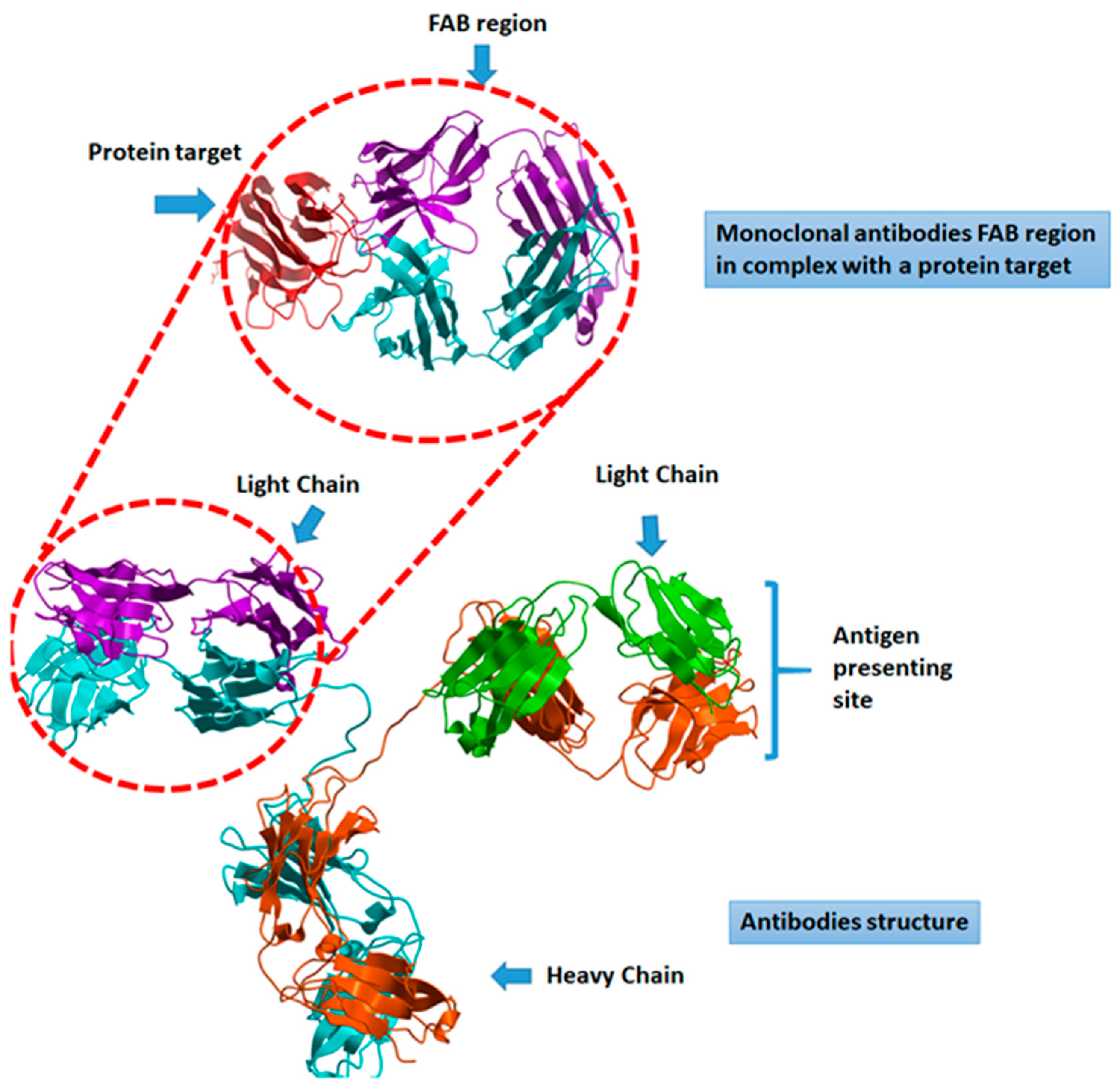 Pathogens 09 00917 g001