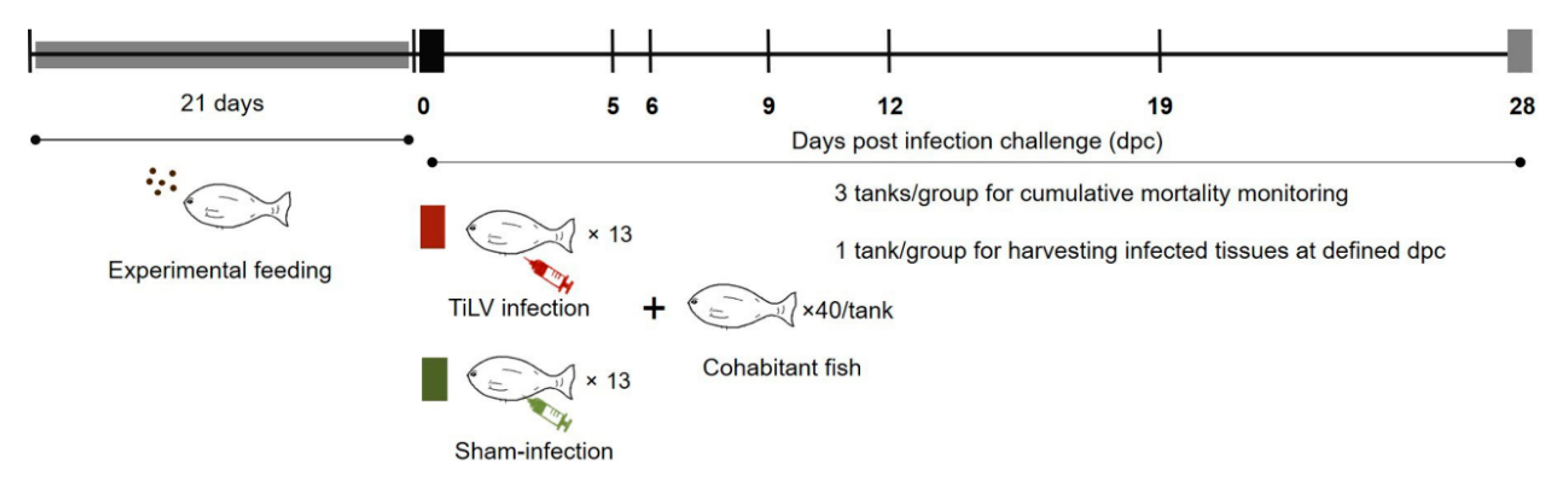 Pathogens 09 00919 g008