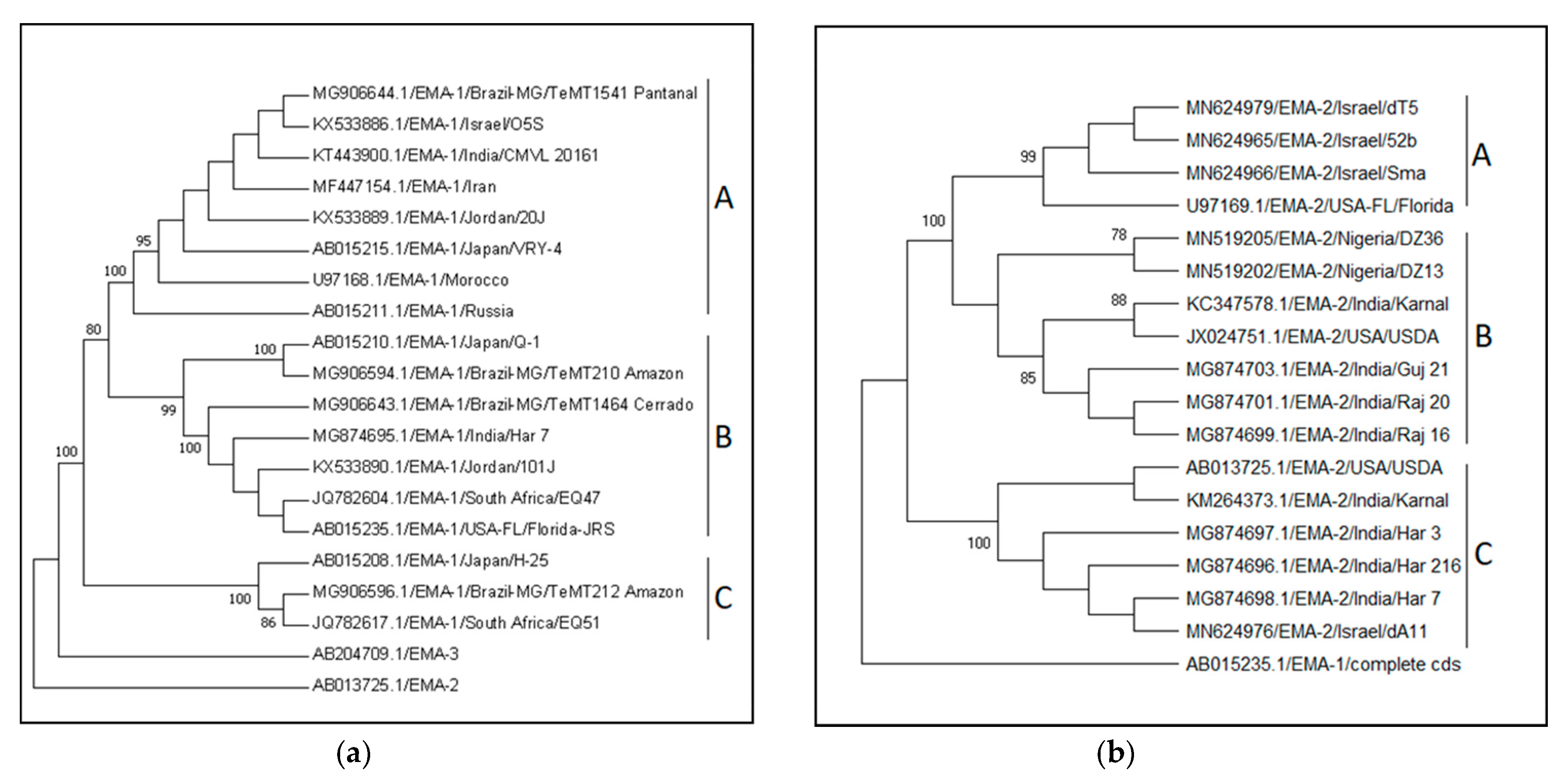 Pathogens 09 00926 g005 Pathogens 09 00926 g005