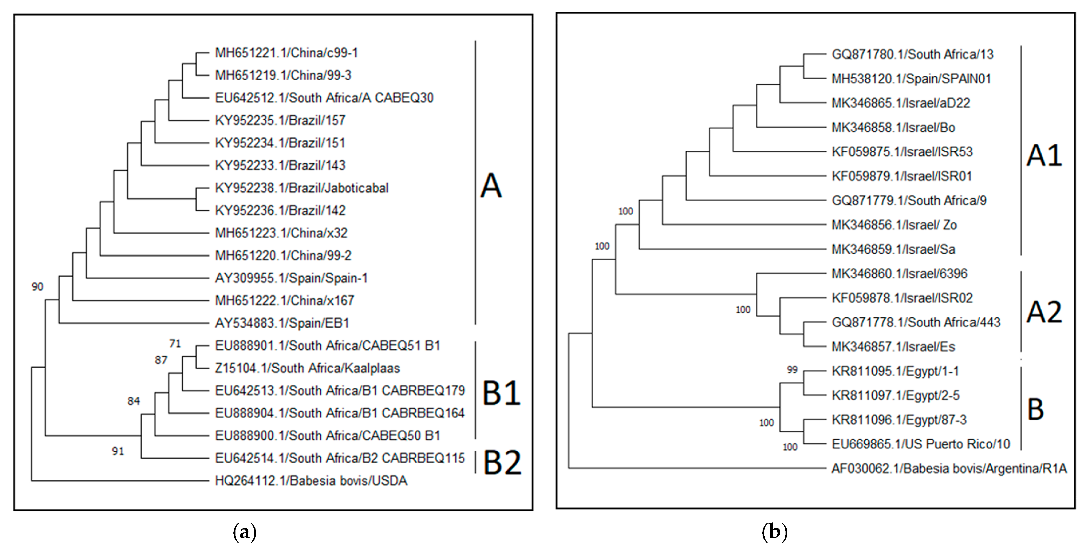 Pathogens 09 00926 g006 Pathogens 09 00926 g006