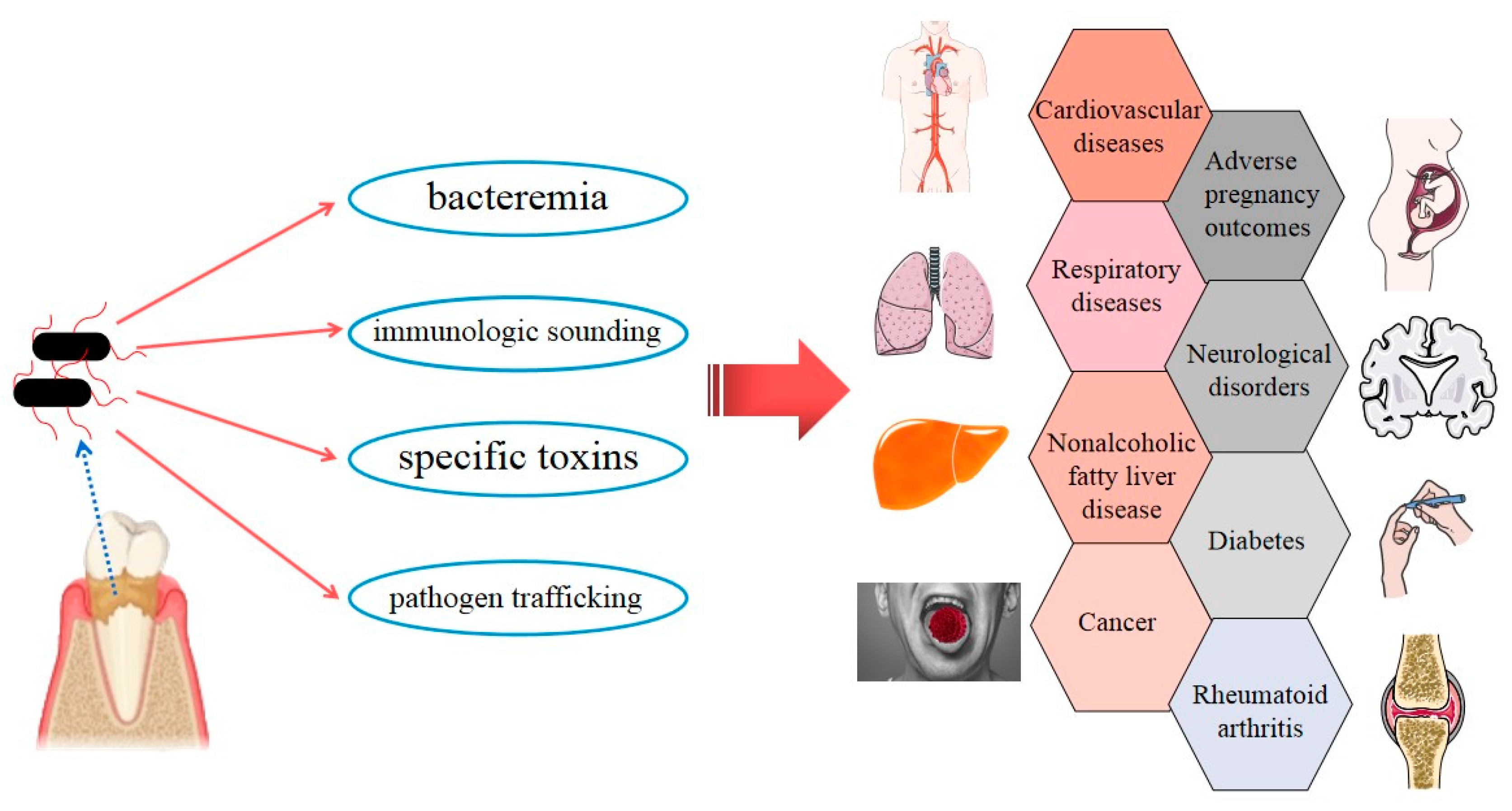 Pathogens 09 00944 g004