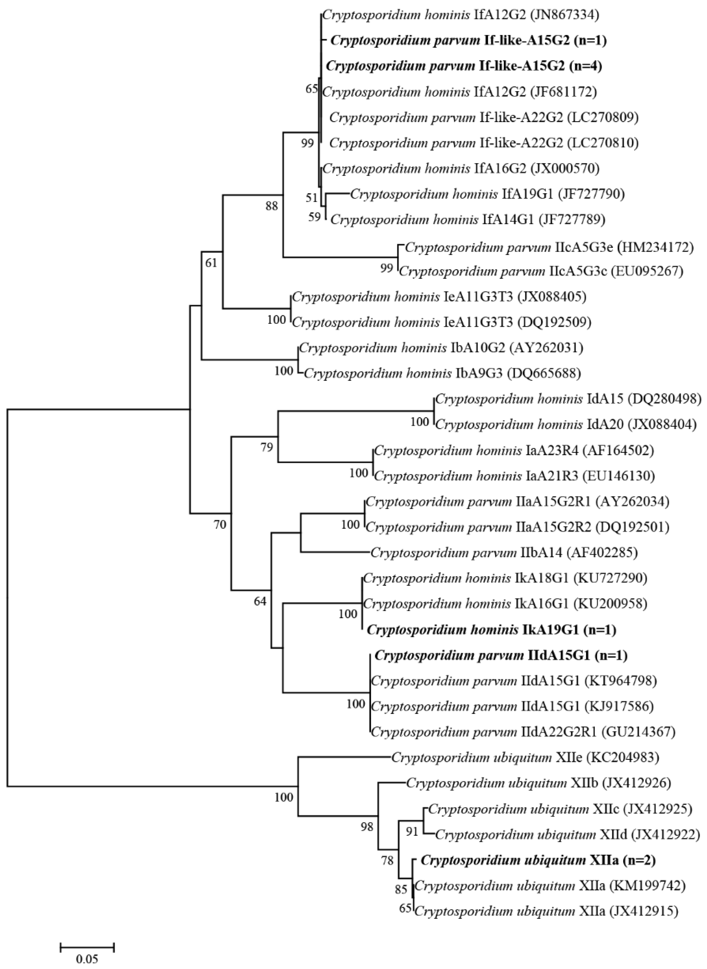 Pathogens 09 00946 g002 Pathogens 09 00946 g002